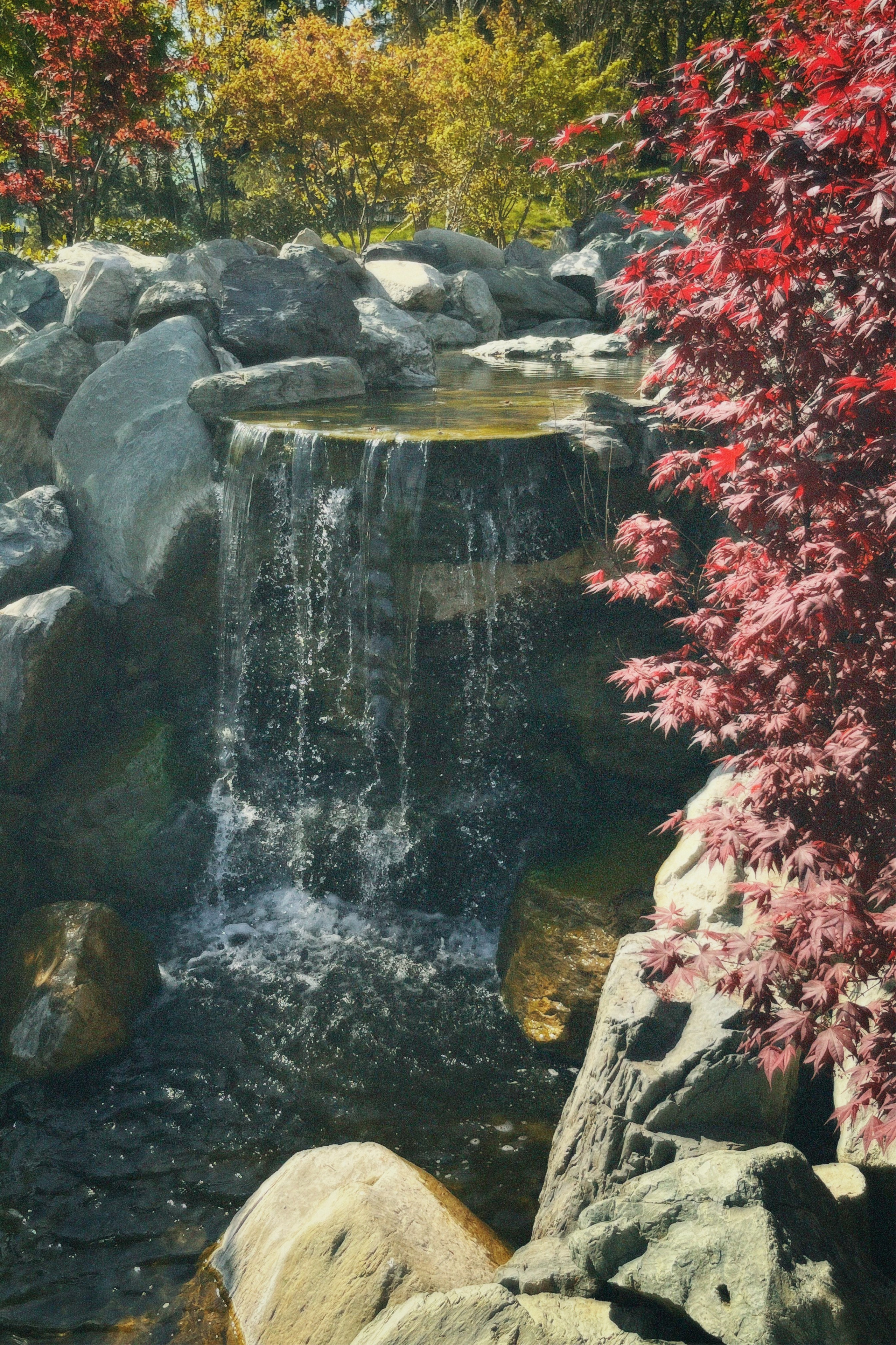 КРАСНОДАР. Портретный и лавстори фотограф в Стерлитамаке Альбина Шарт