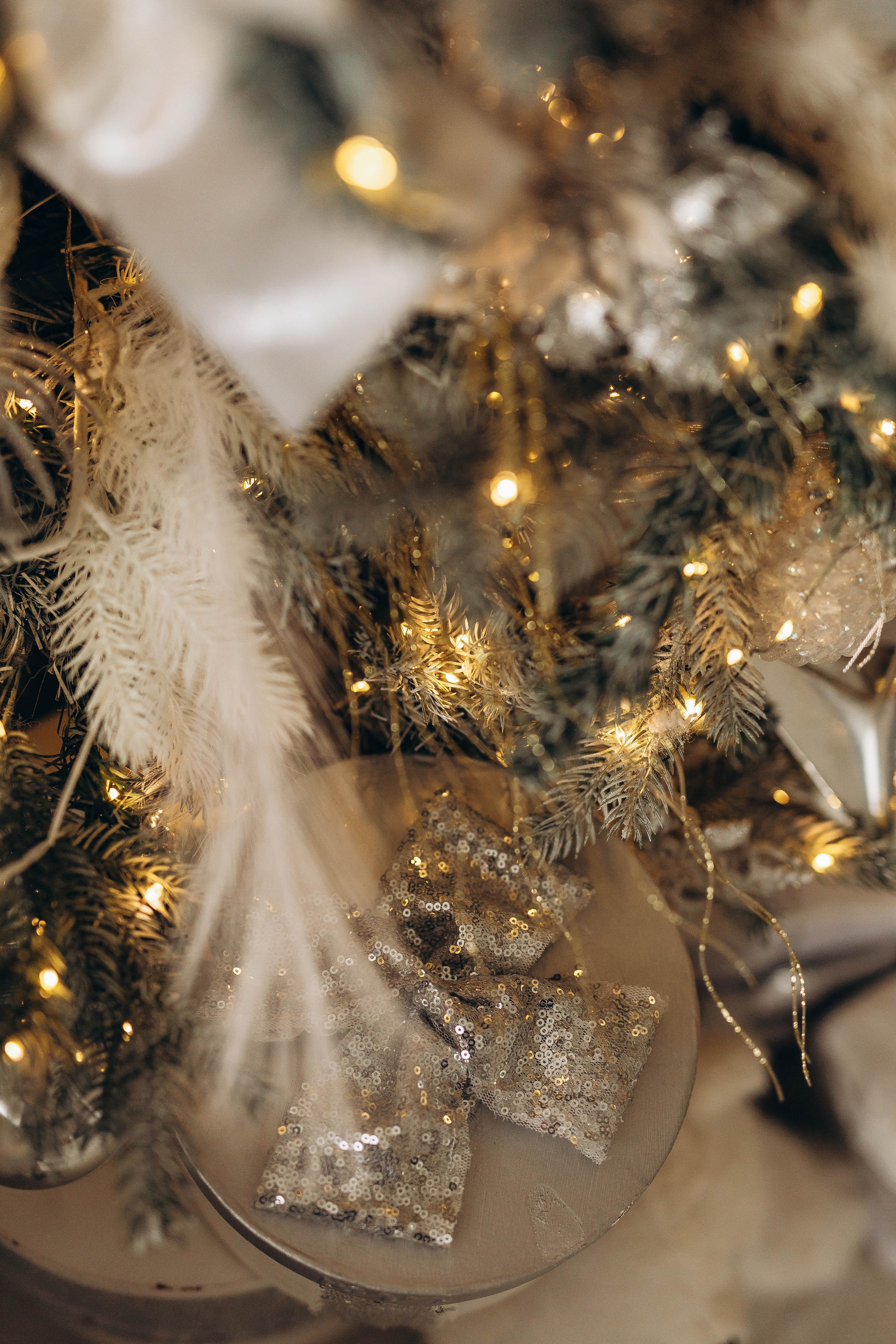 Семейная Новый год. Katerina Schastlivaya