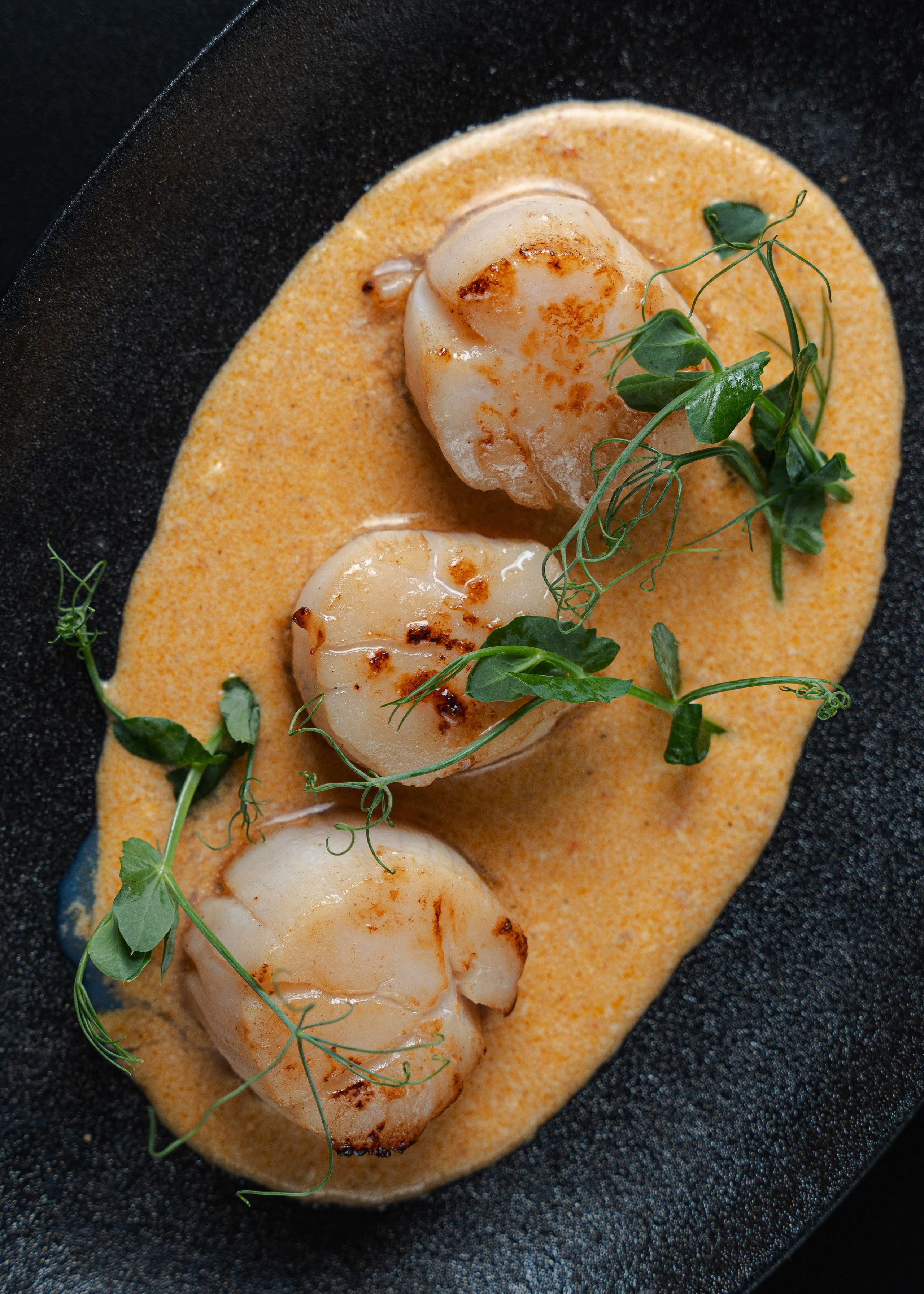 Шоколадница. Фотограф Хабаровск