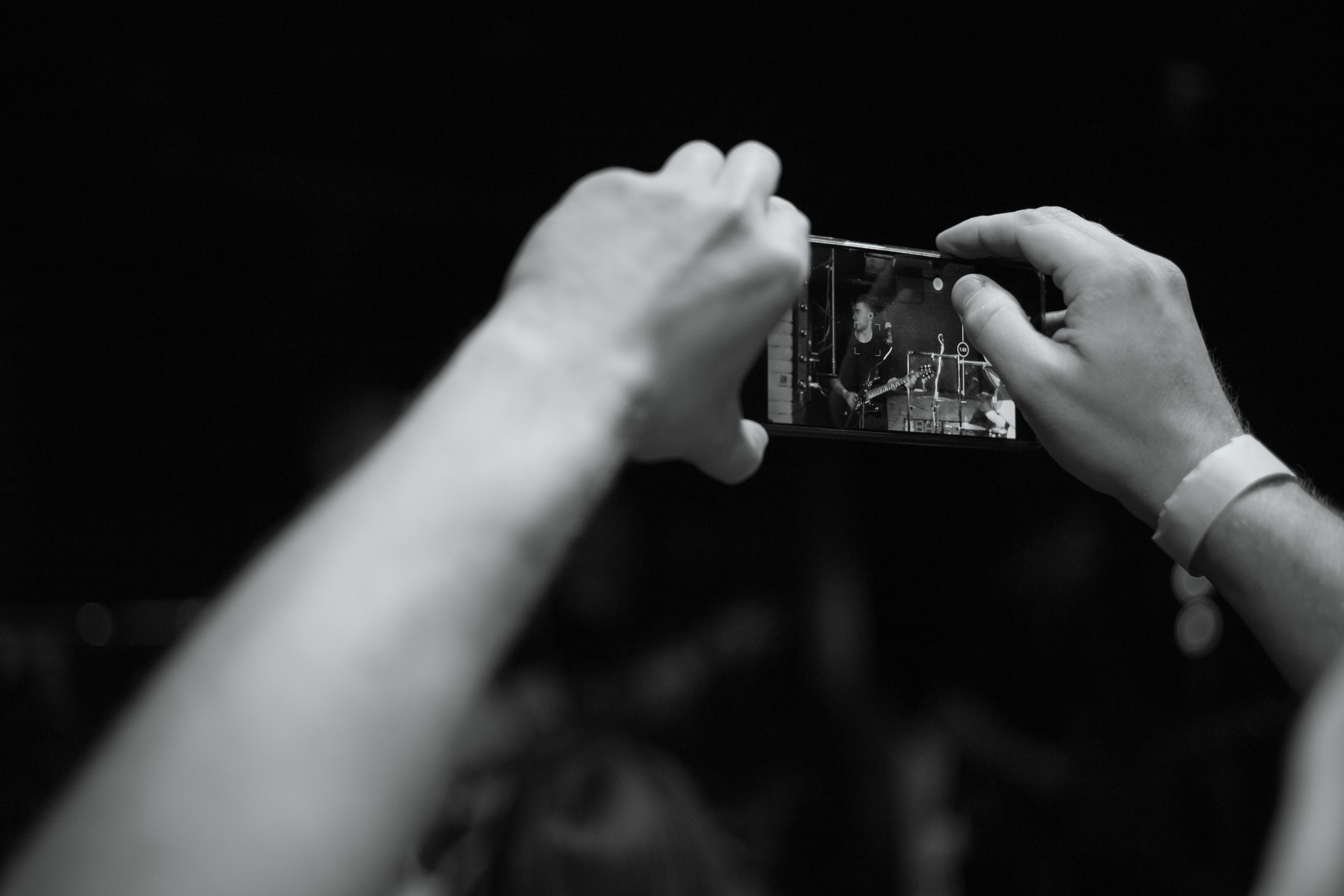 Анимация (17.05.2024). Toxasnip Photo | Anton Maslenkin