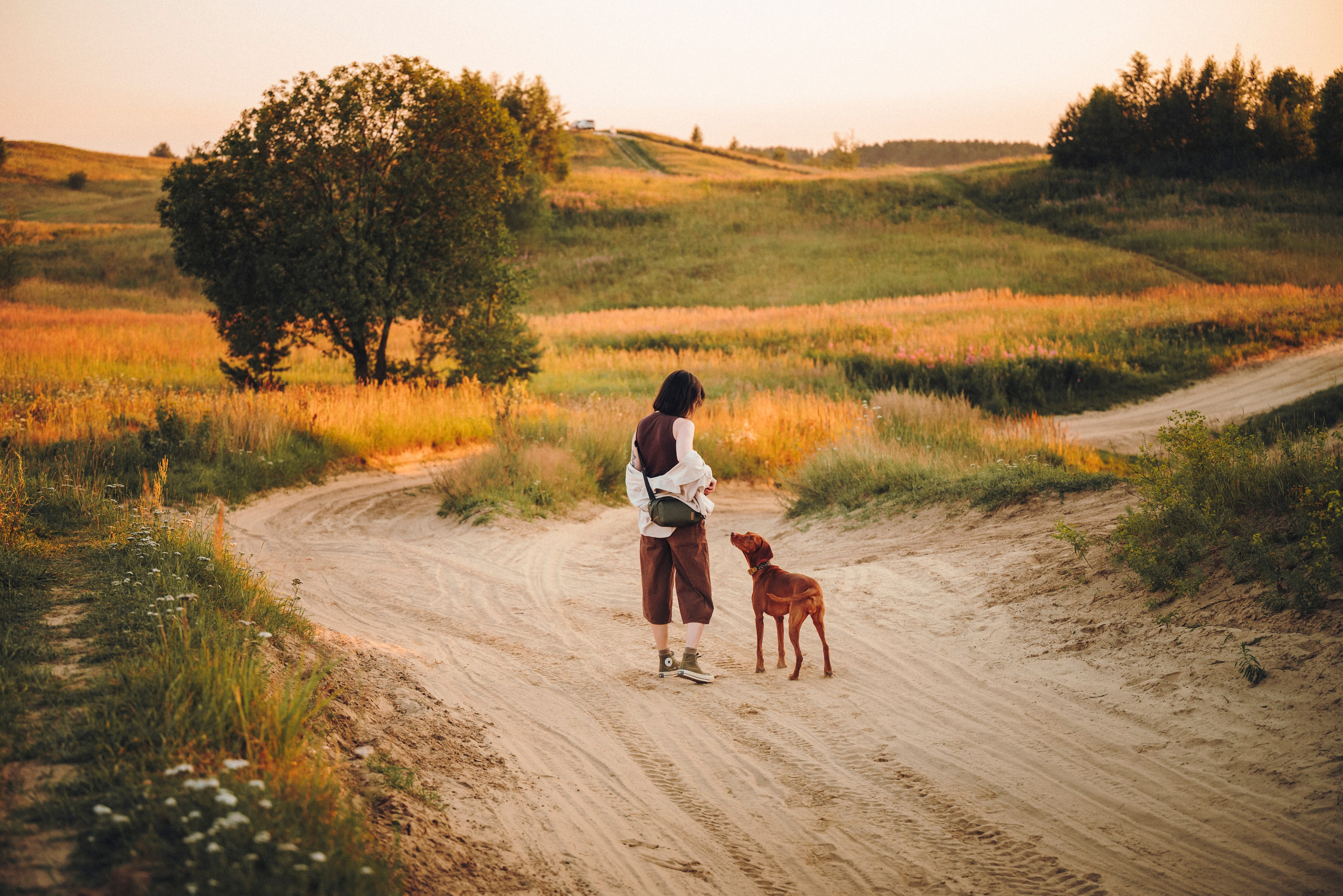 Маша, Трисс и Эста. Семейный фотограф анималист Ананьева Мария — Москва