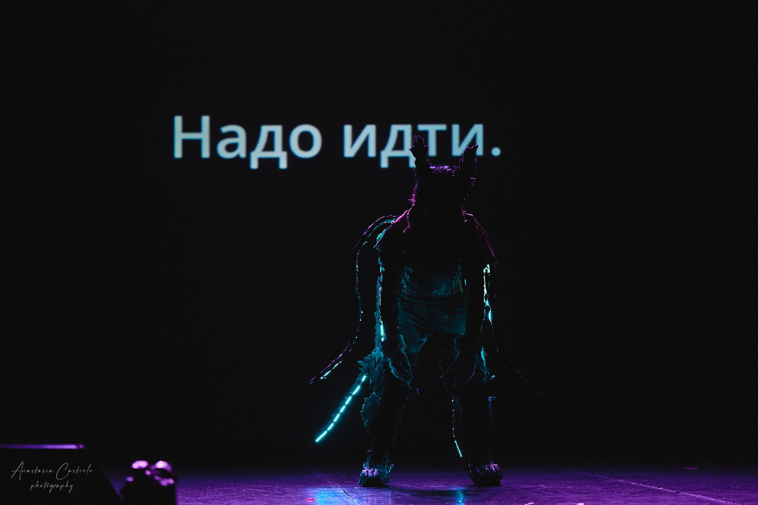 АниКон 2026 (День 3). Творческий и косплей фотограф Анастасия Кастиэло