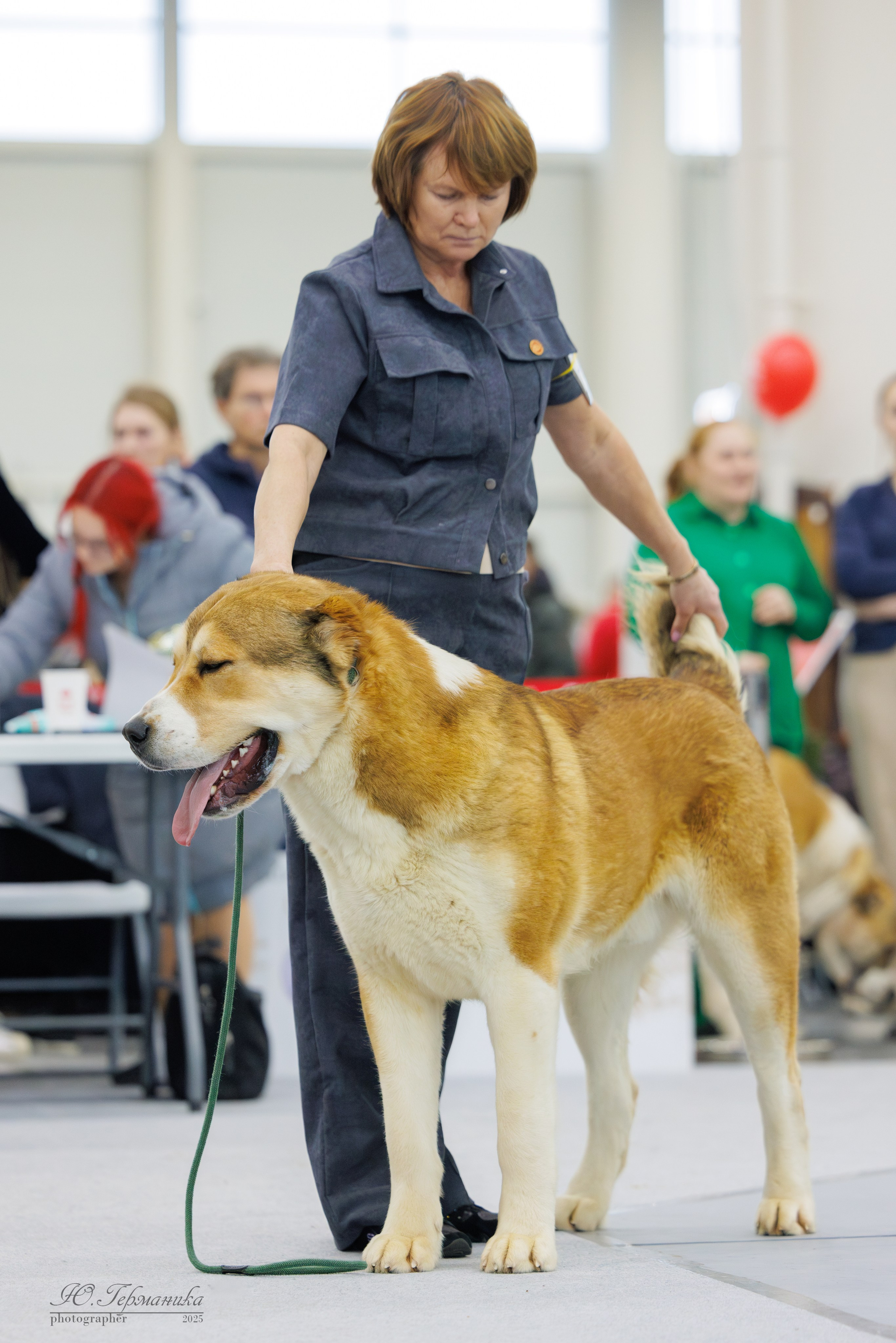Сабанеевка Казань 25-26.01.2025. Фотограф-анималист Юлия Германика