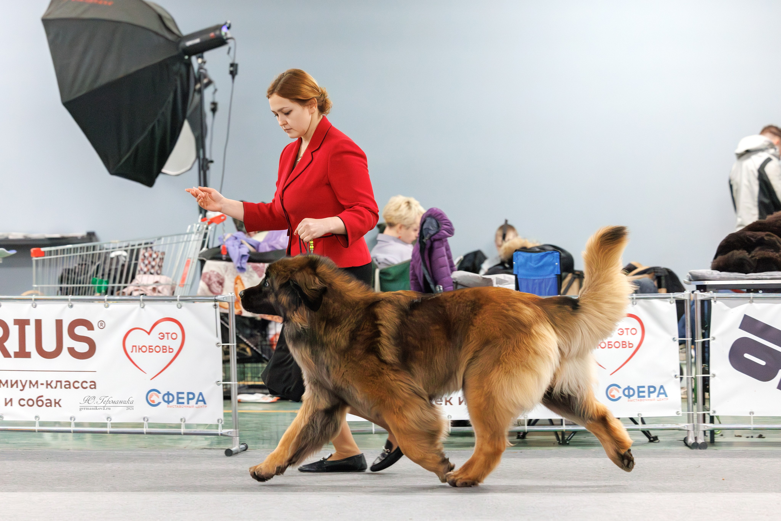 Сфера и Крокус 8,9,16 и 30.03.2025. Фотограф-анималист Юлия Германика