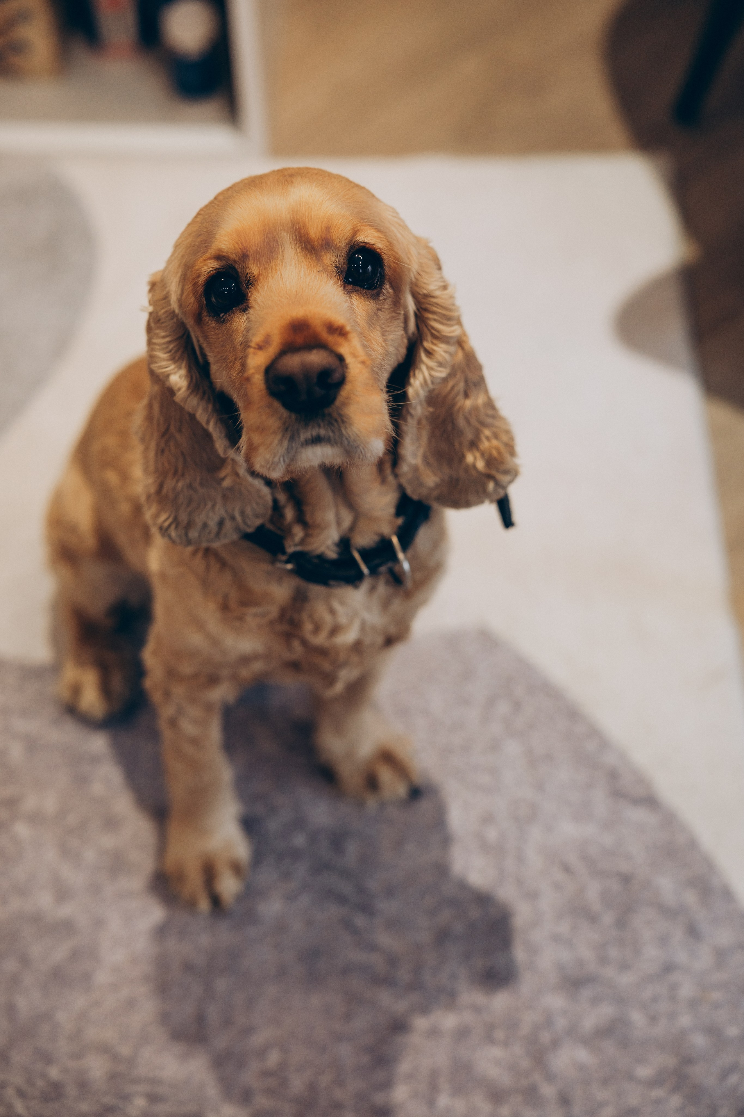 Пасха. Свадебный, семейный фотограф в Иркутске Светлана Макаричева