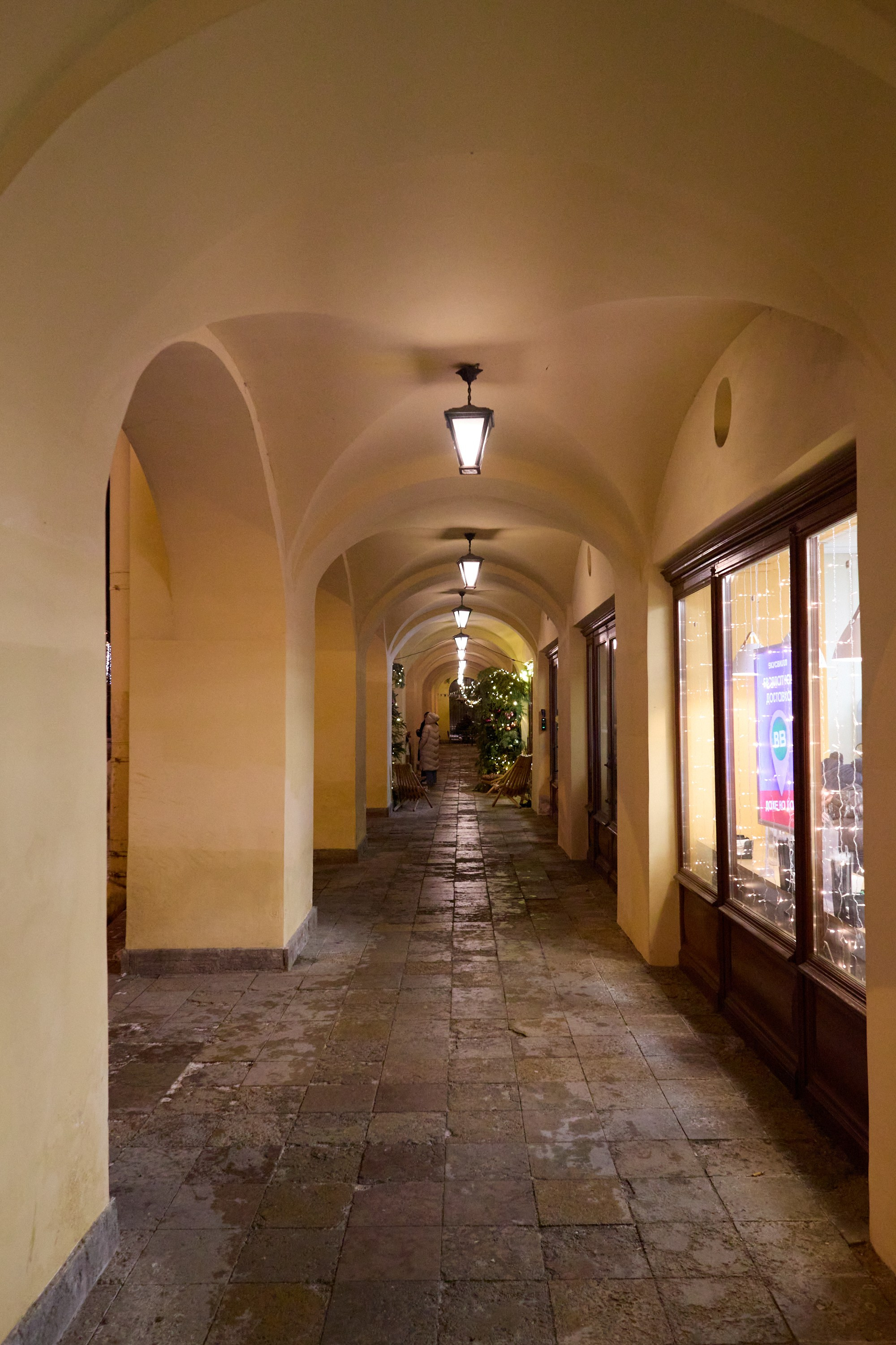 Рождество въ Санктъ-Петербургѣ. Фотографъ Сергѣевъ. Поймать мгновеніе