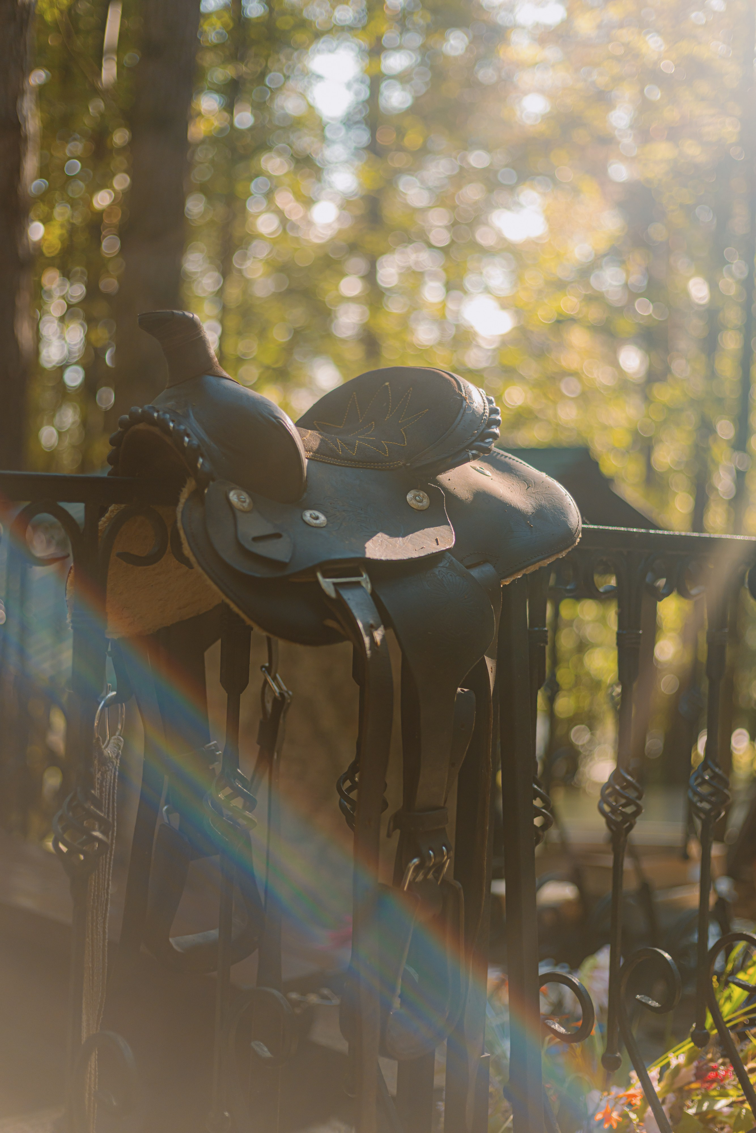 МНЕ В САПОГ ЗАПОЛЗЛА ЗМЕЯ!