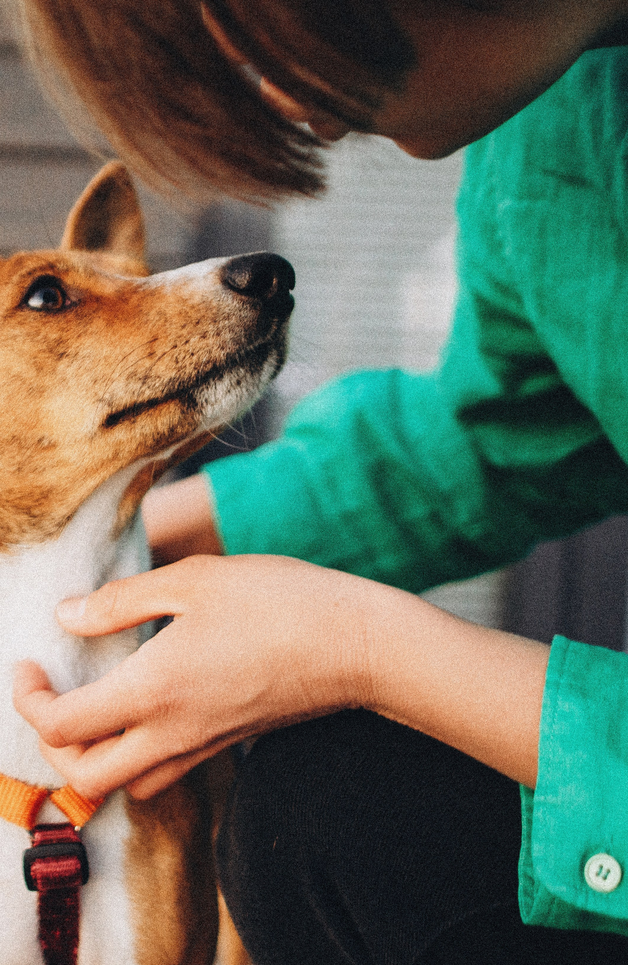 Снежана и Мэнни. Фотограф-анималист Богданова Полина