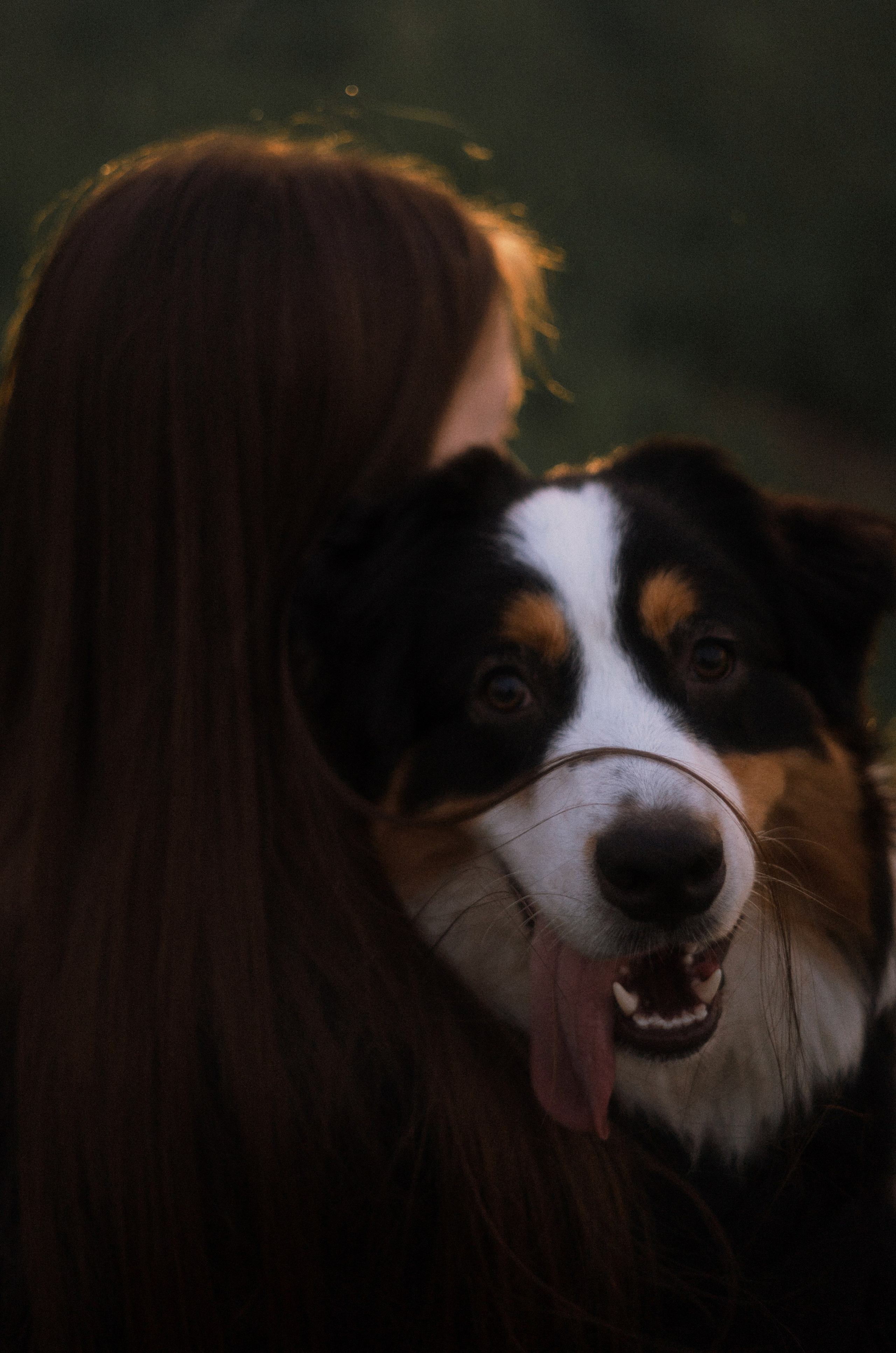 Яна и Уга. Фотограф-анималист Богданова Полина