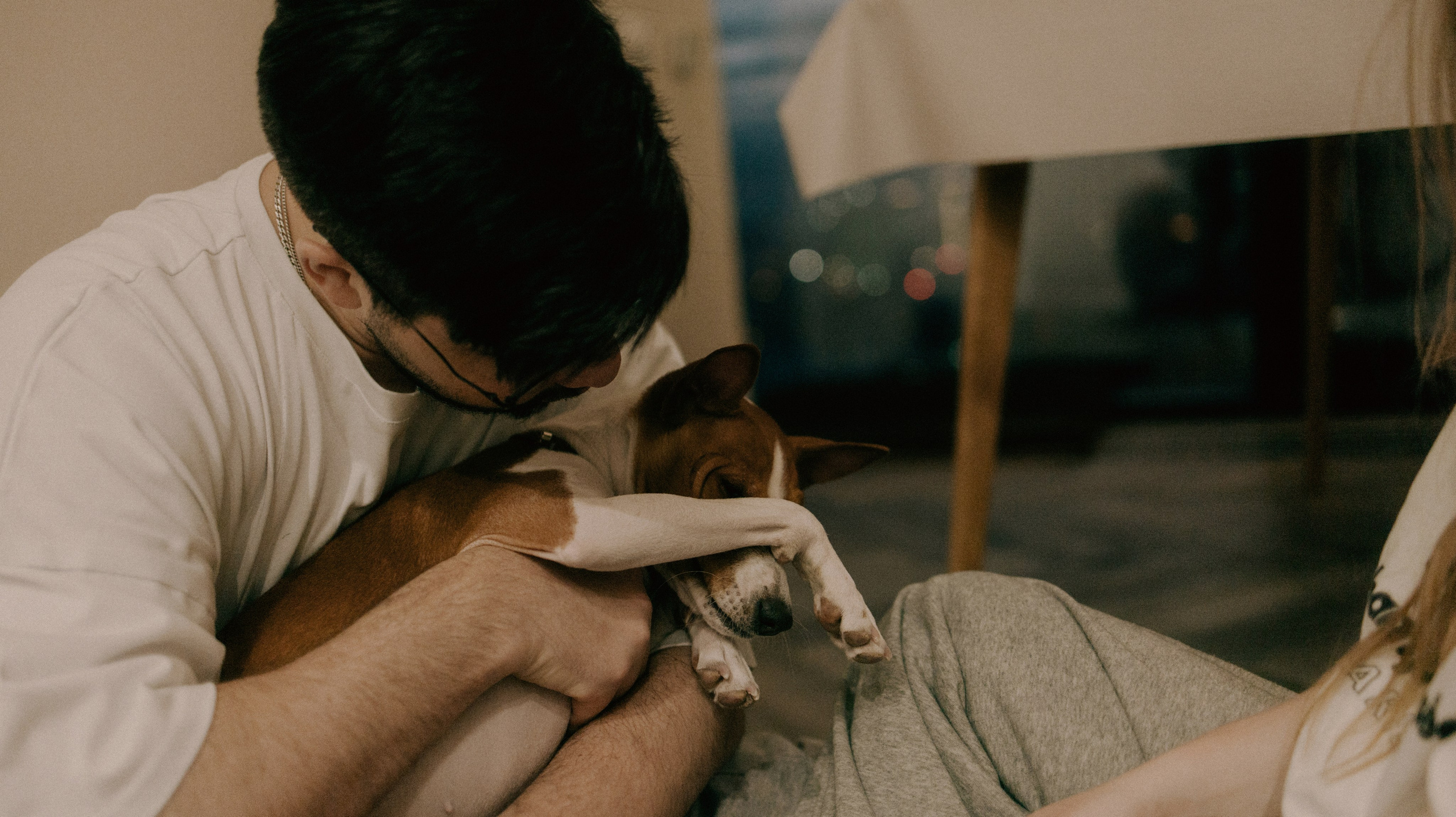 Люба, Никита и Бахати. Фотограф-анималист Богданова Полина