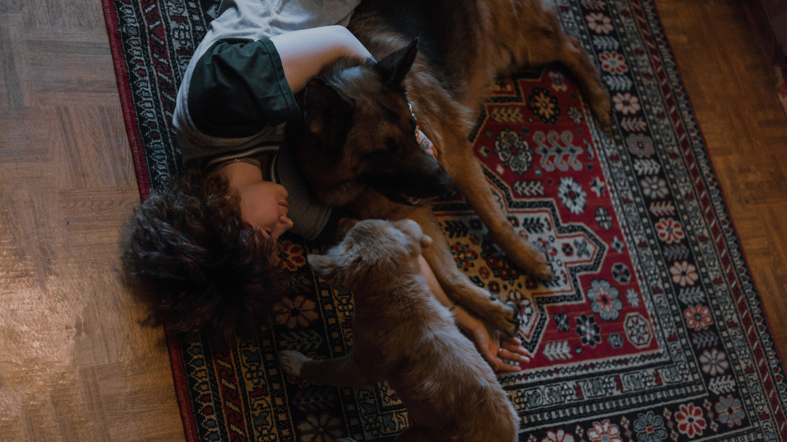 Лера, Реджи и Ральф. Фотограф-анималист Богданова Полина