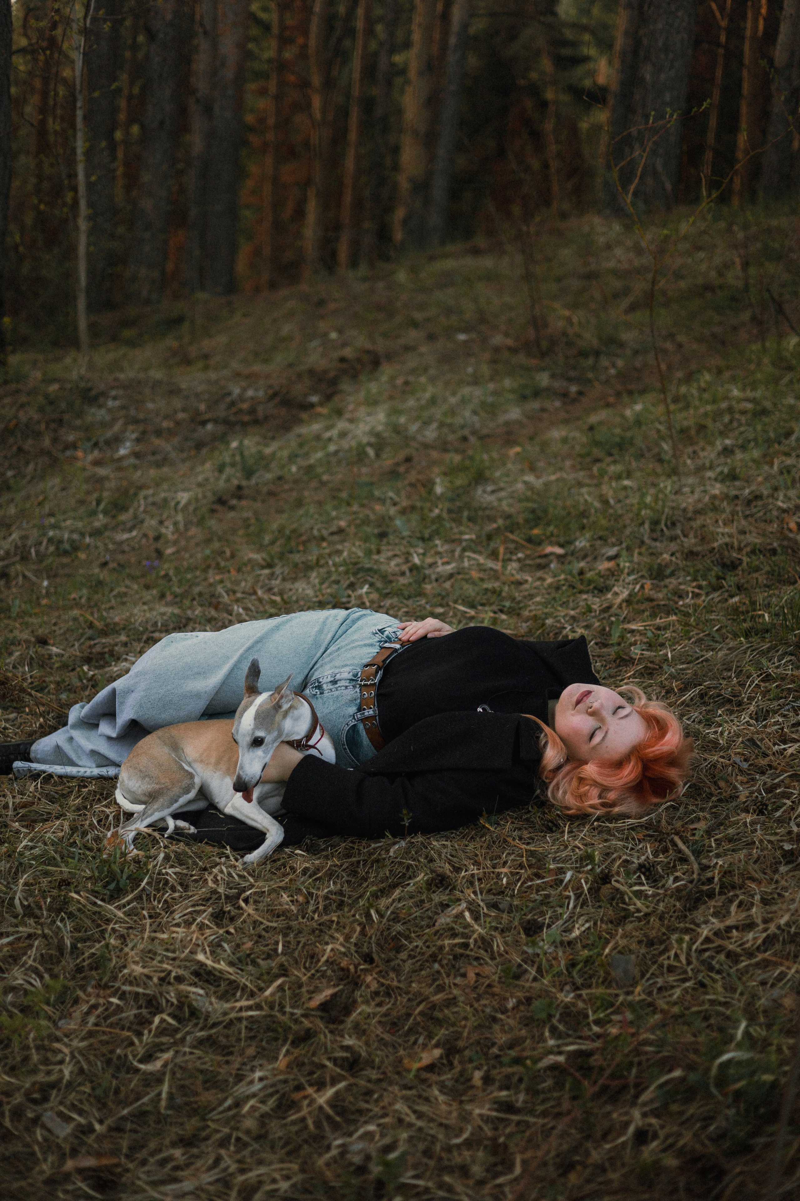 Вика, Джем и Белла. Фотограф-анималист Богданова Полина