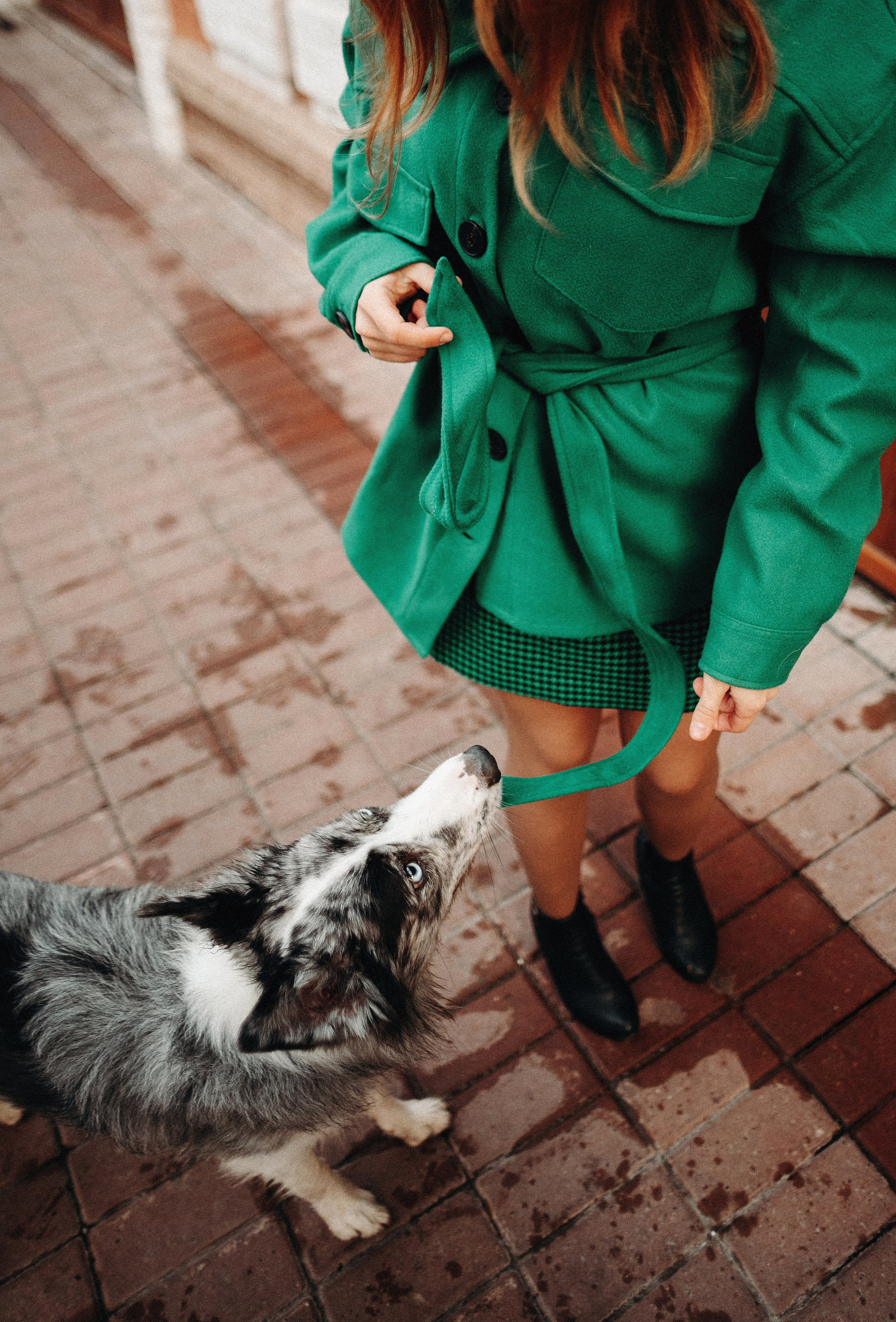 Диана и Робин. Фотограф-анималист Богданова Полина