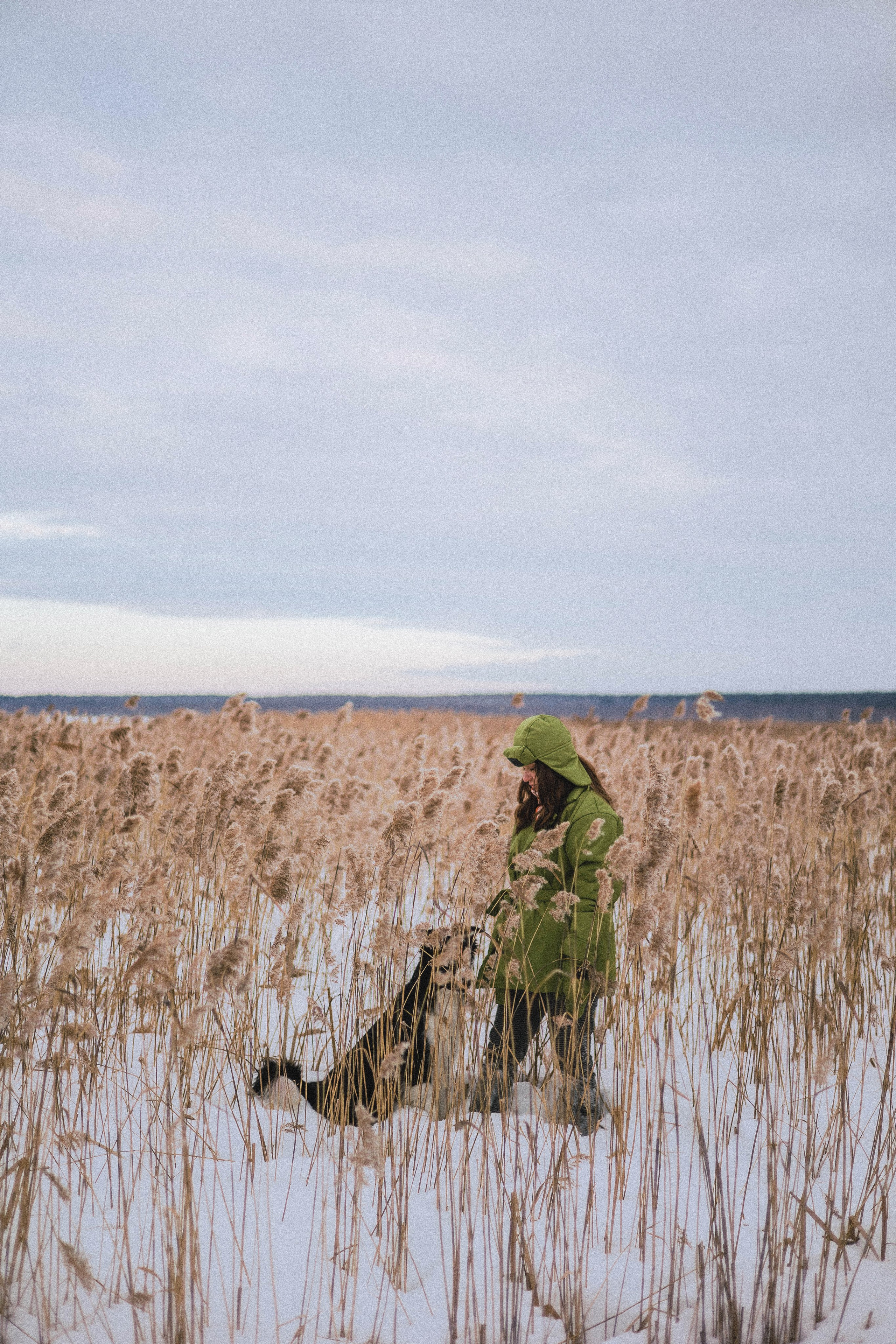 Маша, Рэм и Ньютон. Фотограф-анималист Богданова Полина