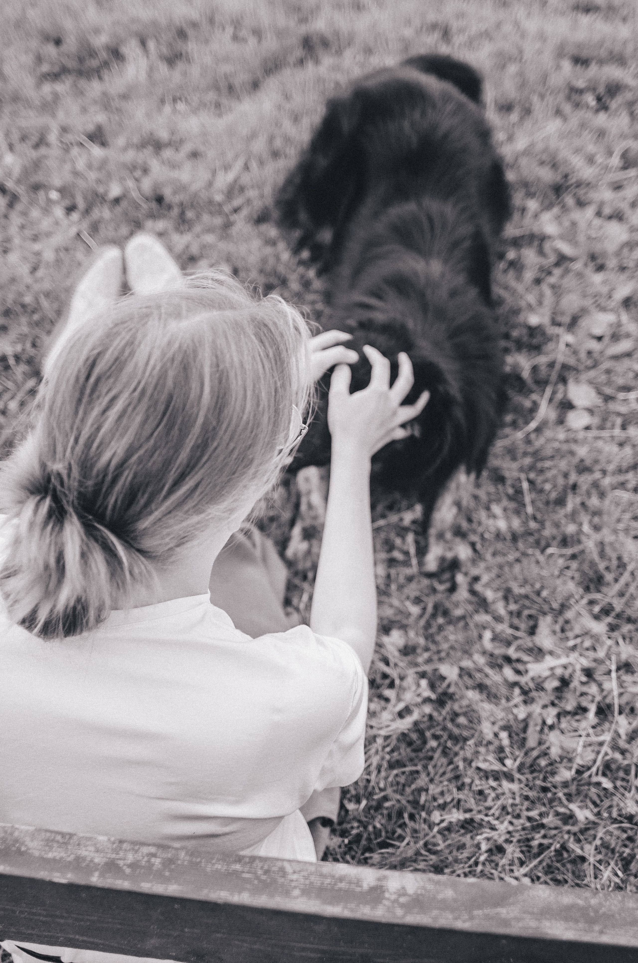 Анна и Марко. Фотограф-анималист Богданова Полина