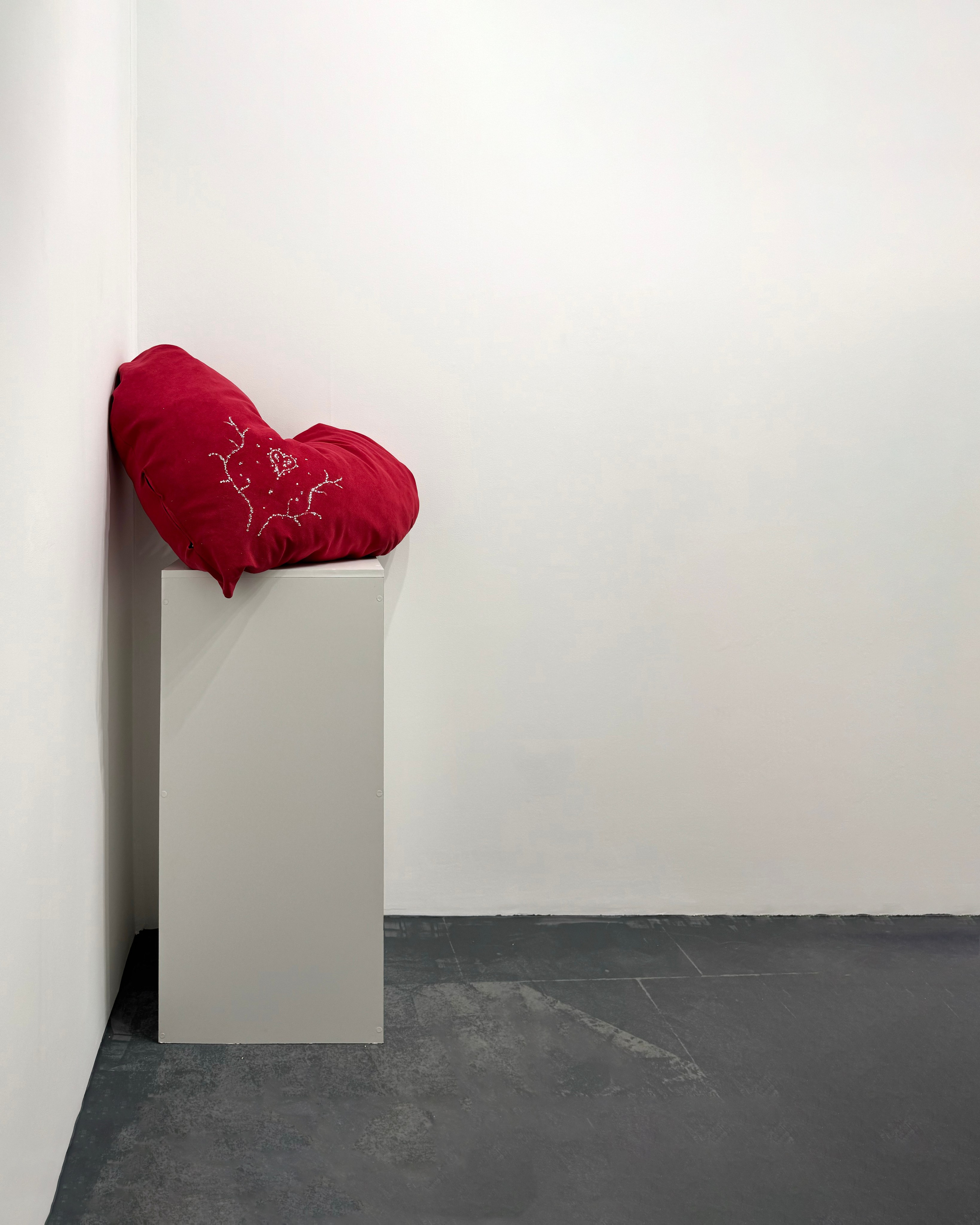 «ТЦСИ», выставка группы Дом Культуры, 26.07-10.08, пространство пробел, Ростов-на-Дону. Лера Круглова