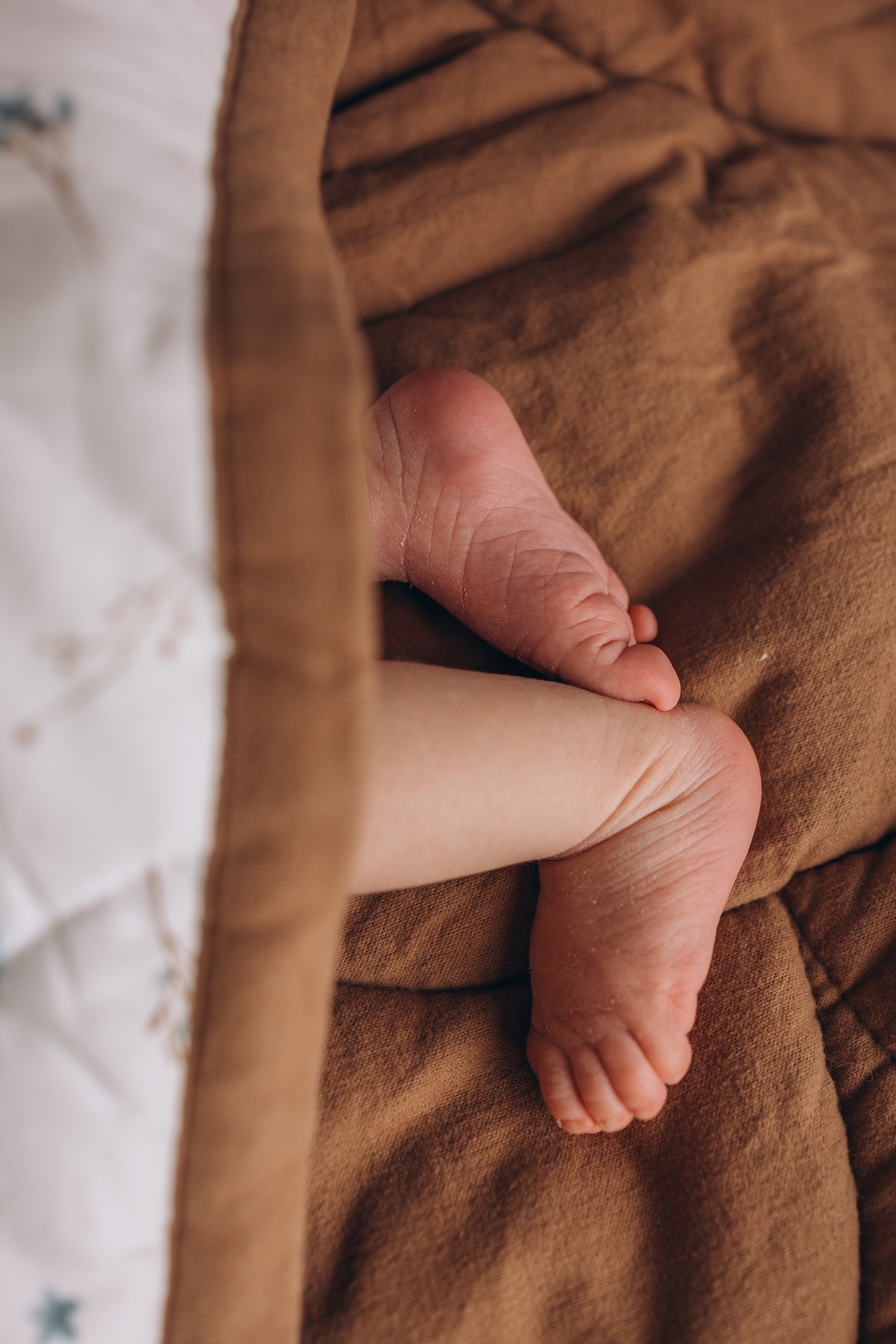 Всеволод 10 дней. Фотограф новорождённых Newborn Москва