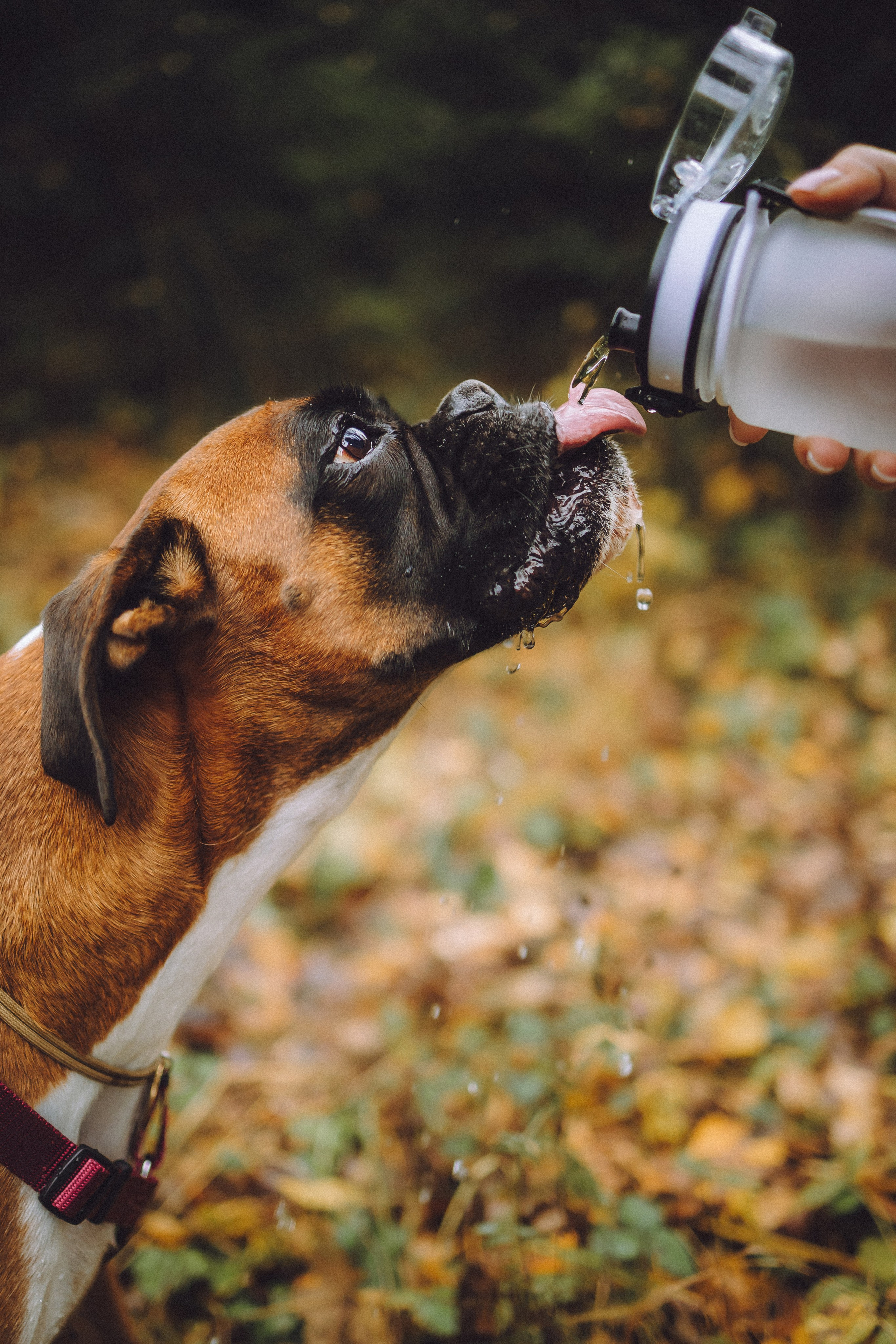 Элли и ее семья