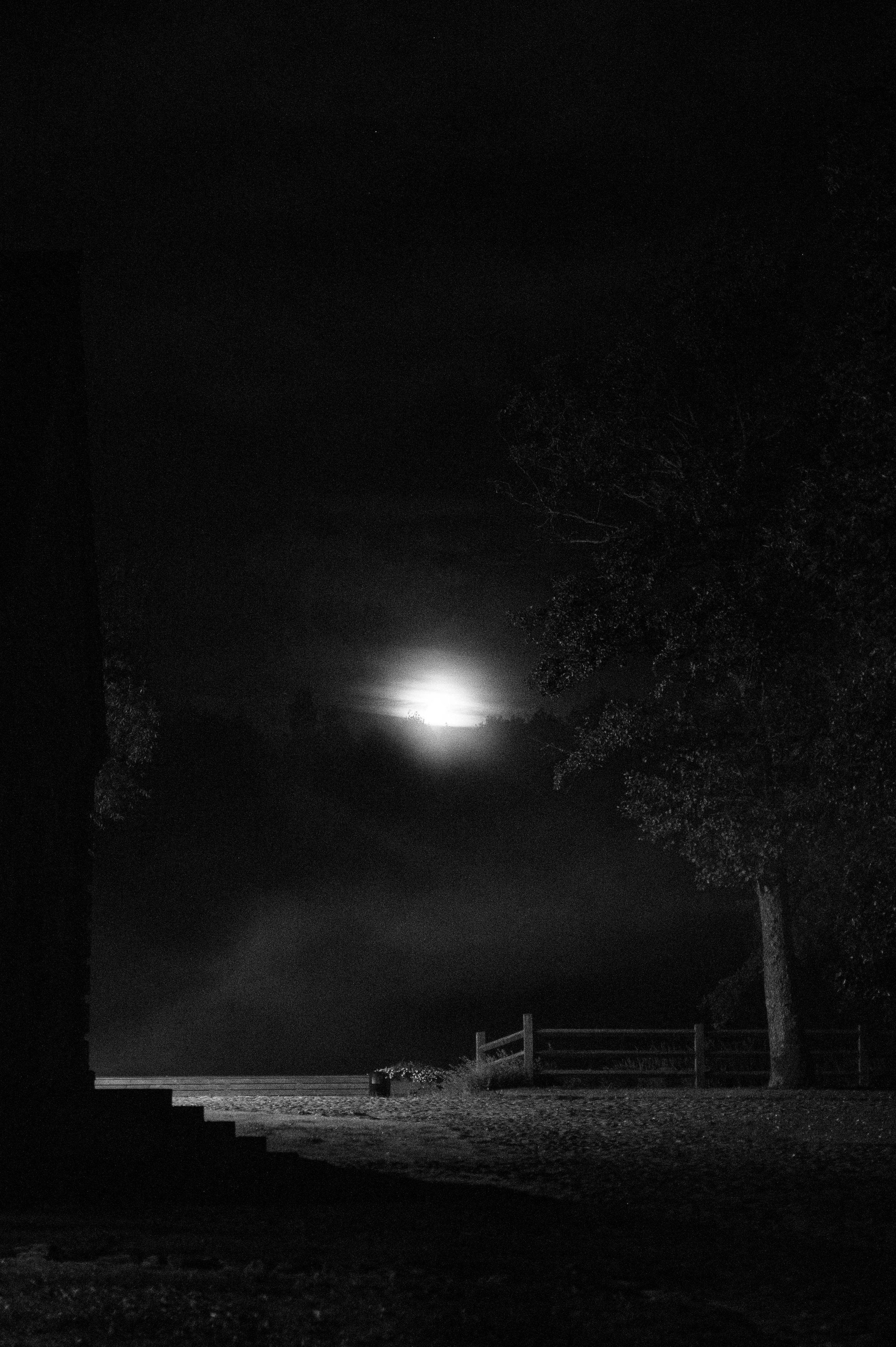 L&O. Свадебный фотограф Минск