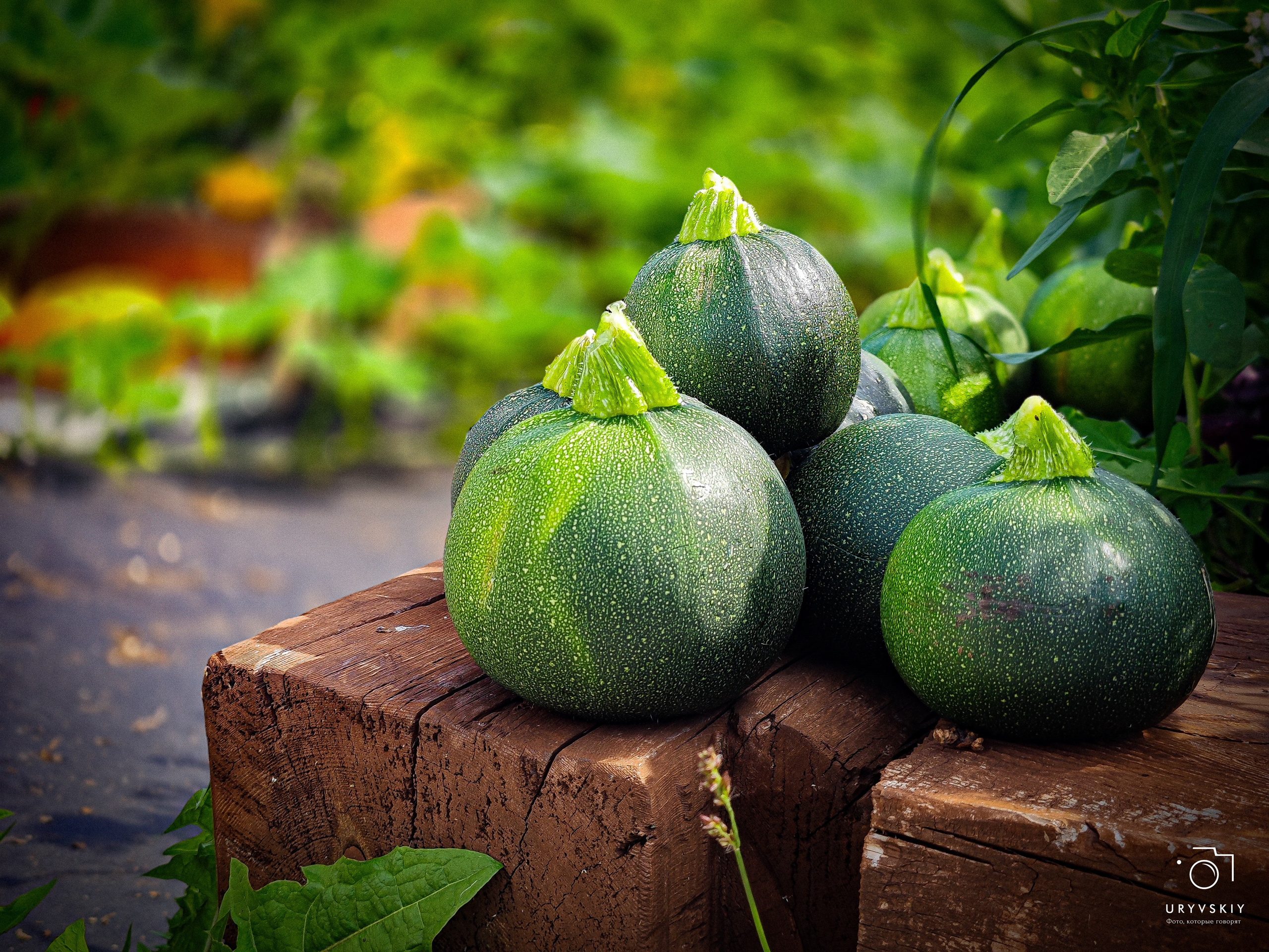 Арт пространство «Хлебзавод». Игорь Урывский. Фотограф Красноярск