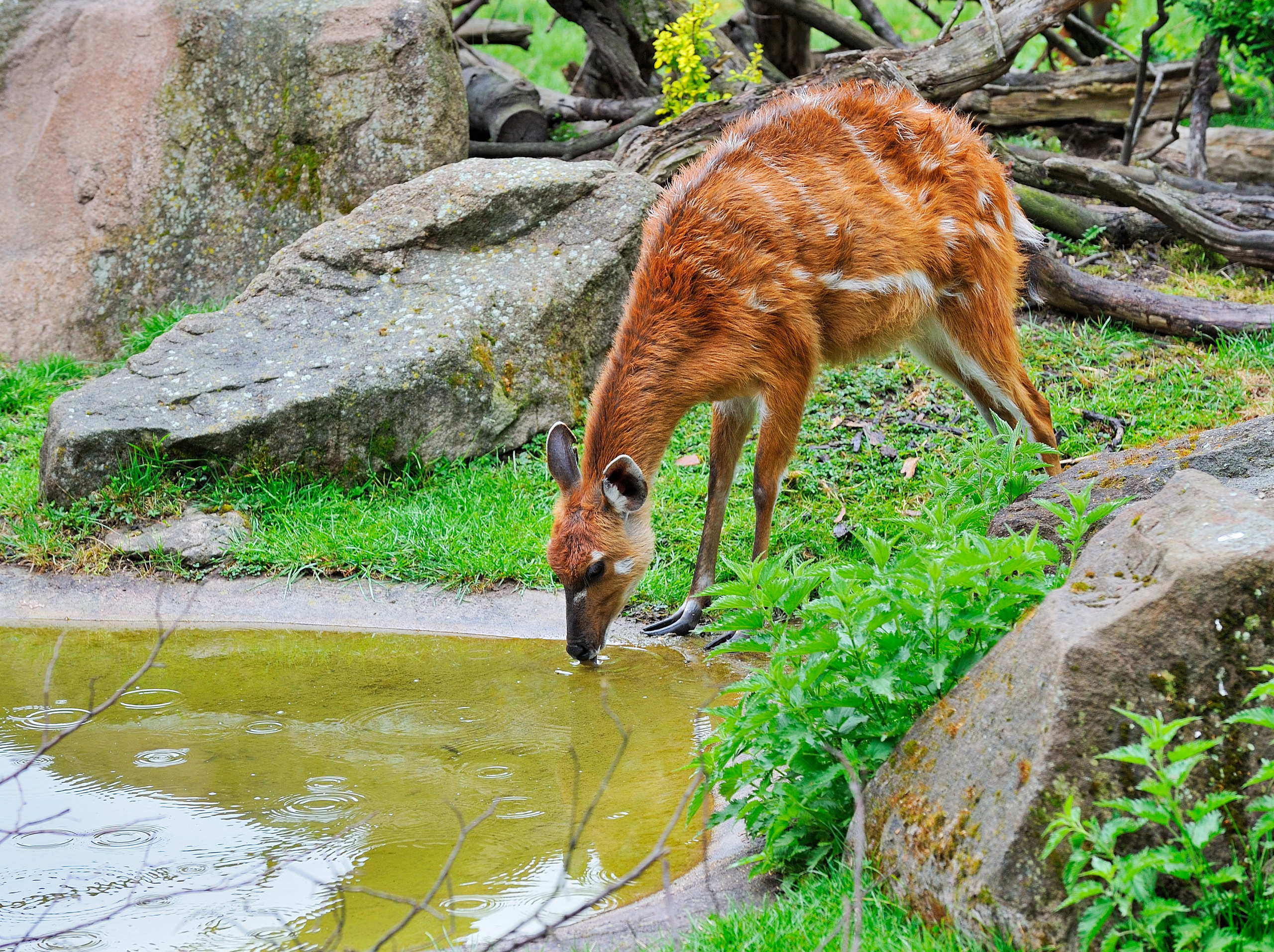 Лето. Пейзажный и предметный фотограф в Санкт-Петербурге Александр Богданов