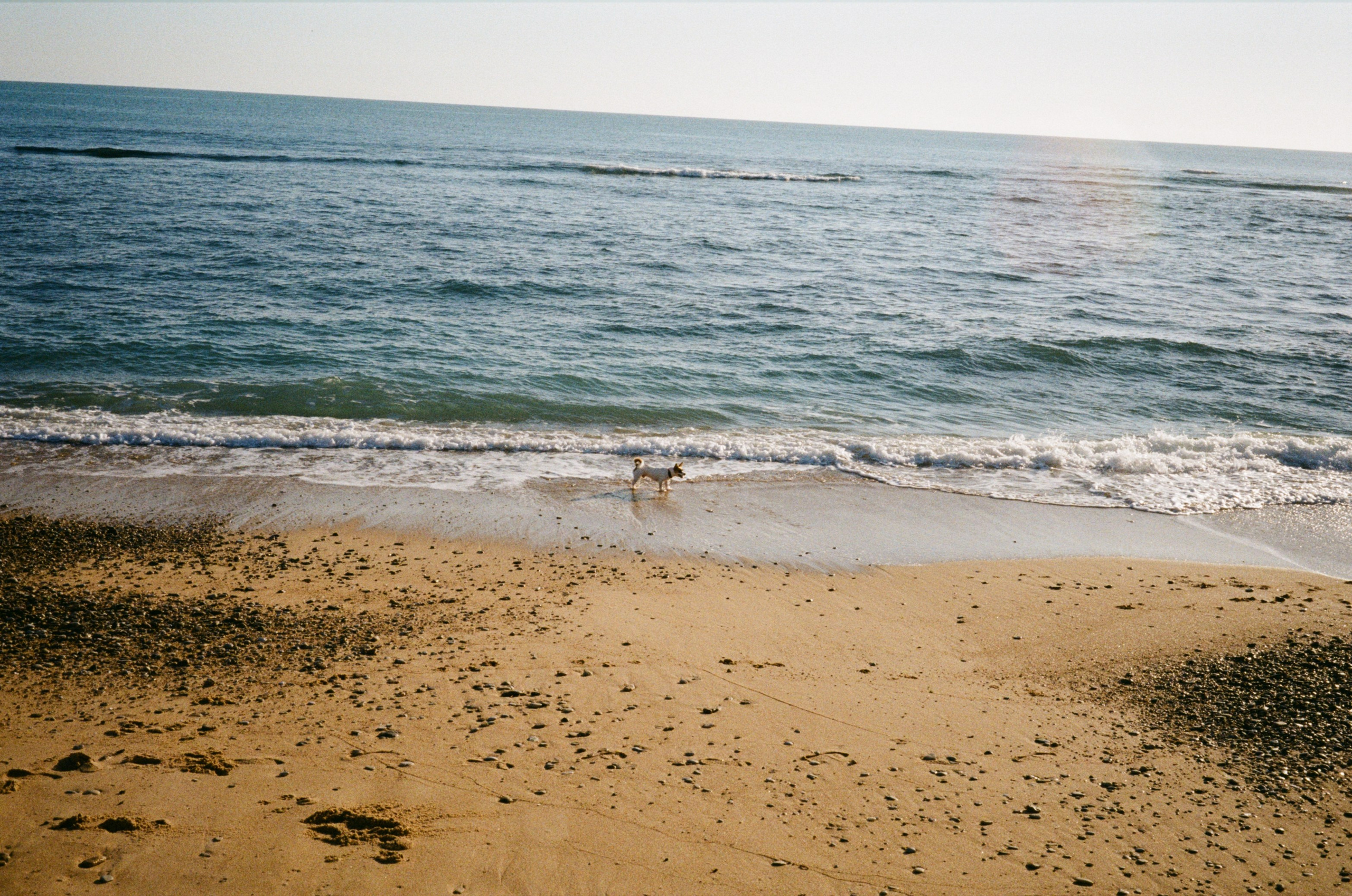 Spain. Regina Platonova