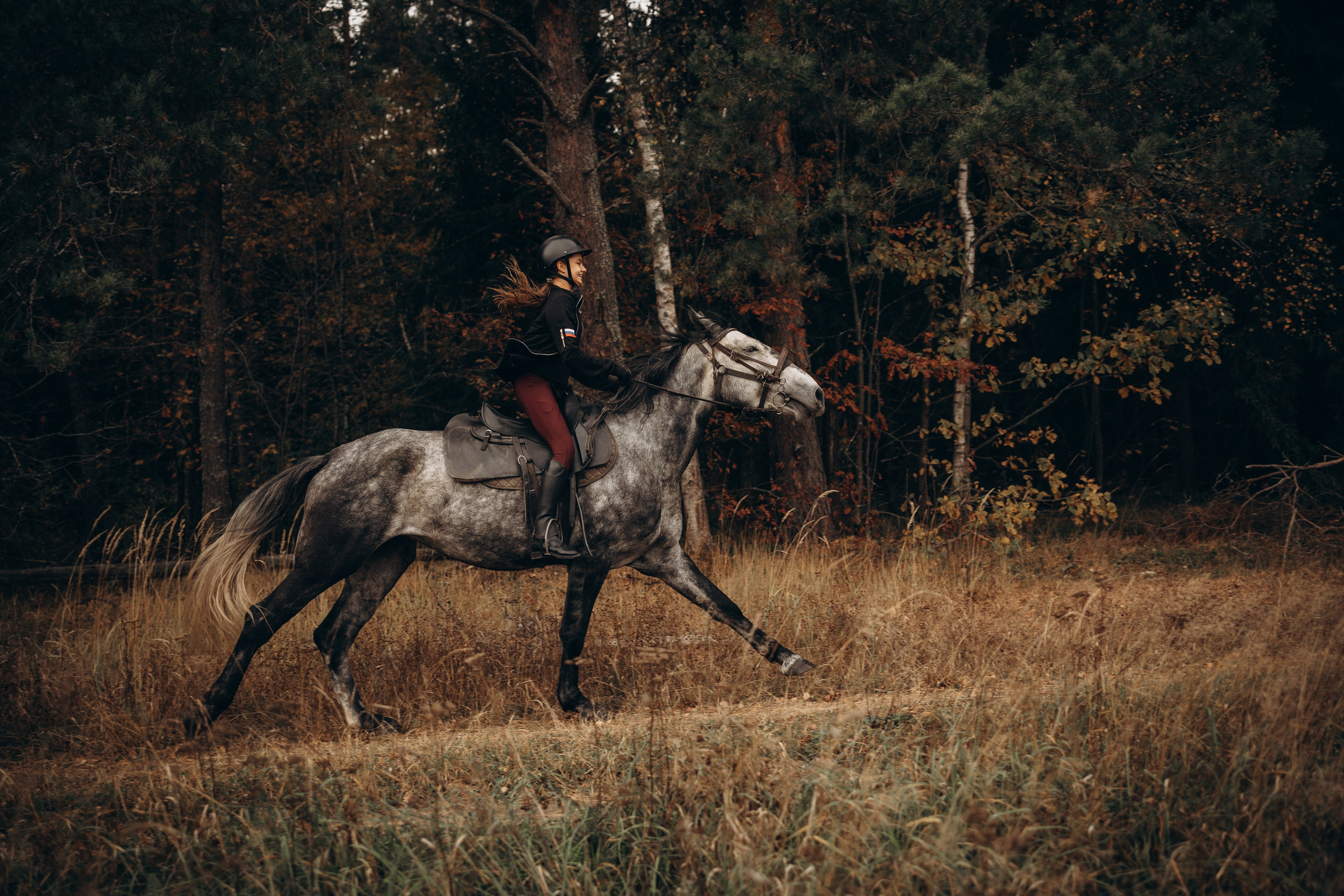 Лошади. Ваш фотограф в Москве и области Юлия