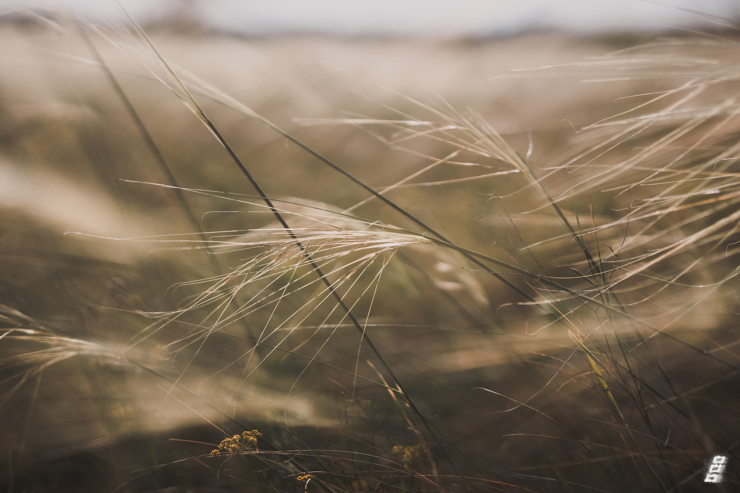 Pale series. Саватейкин Ярослав | Портретный фотограф в Москве