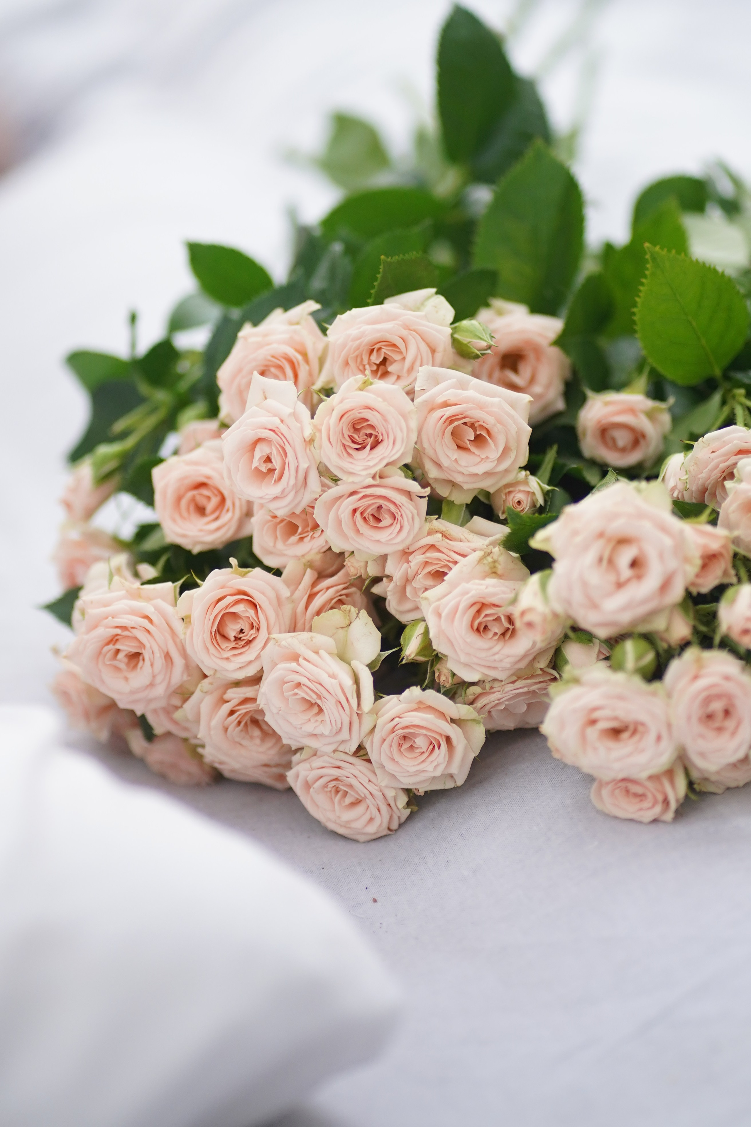 Юлия. Фотограф в Москве и МО