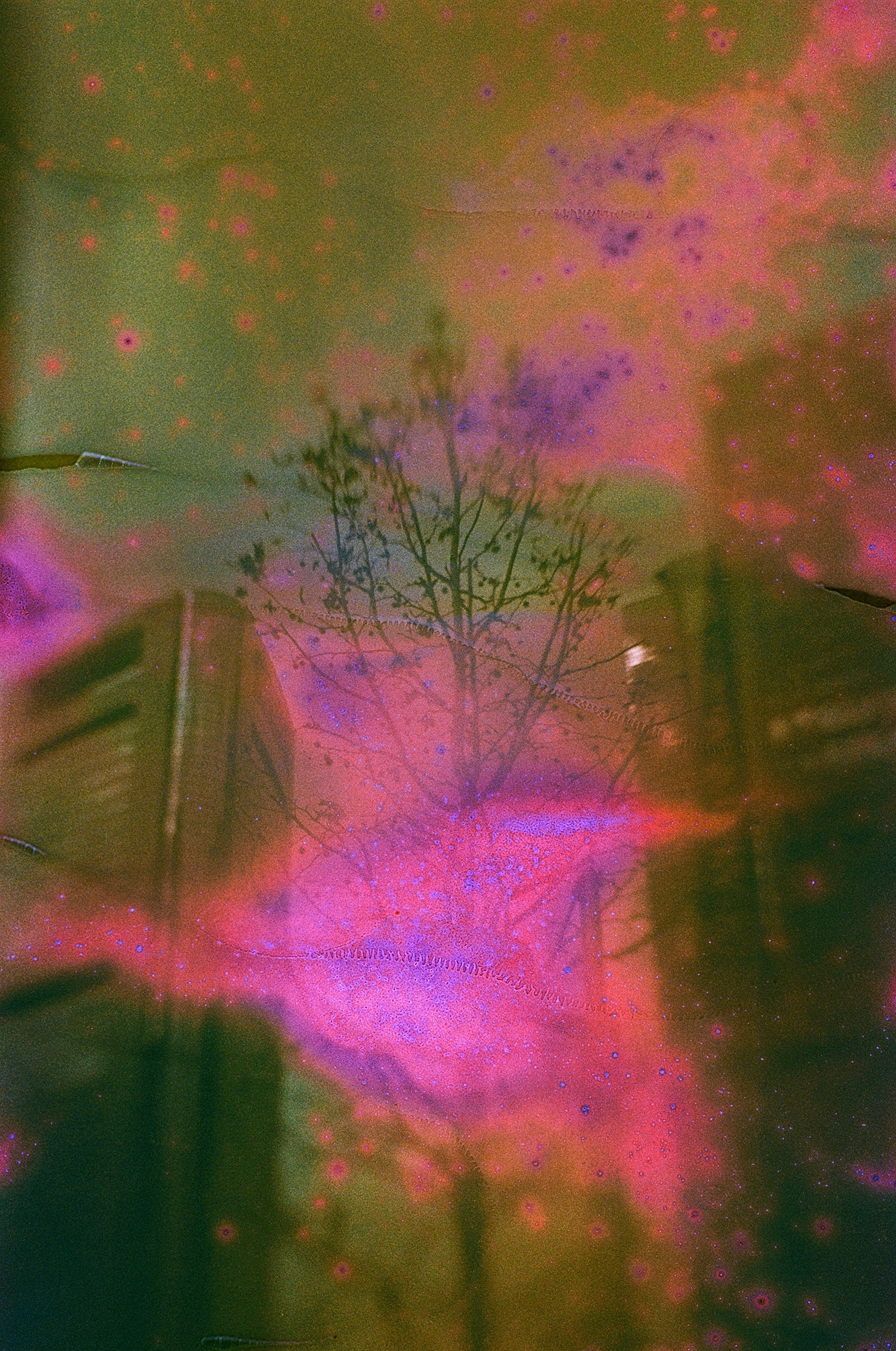 JAPAN FILM. International visual artist