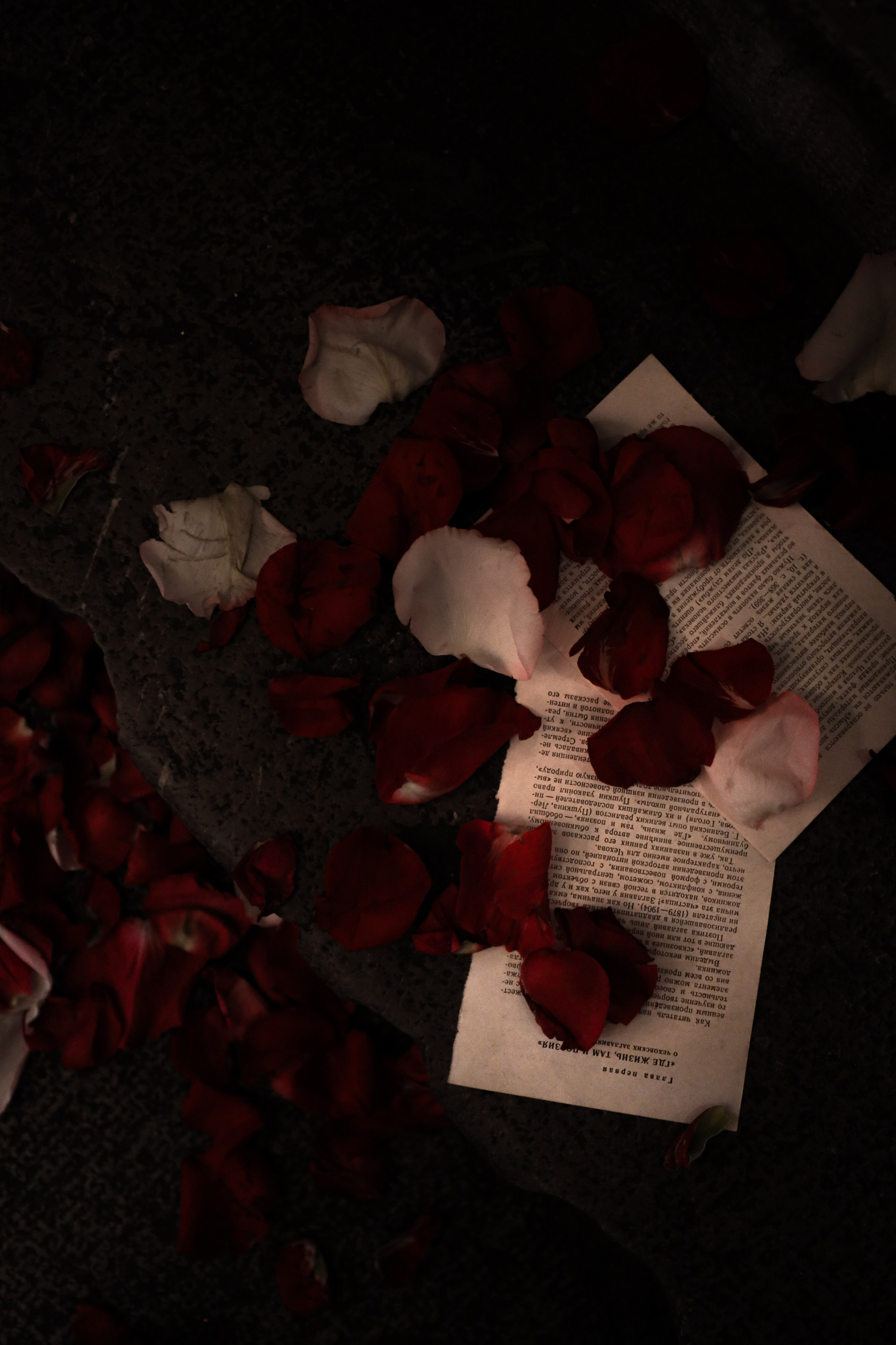 Gastrodvor «Диалог с Чеховым». Дженбаз Павел — фотограф в Ялте