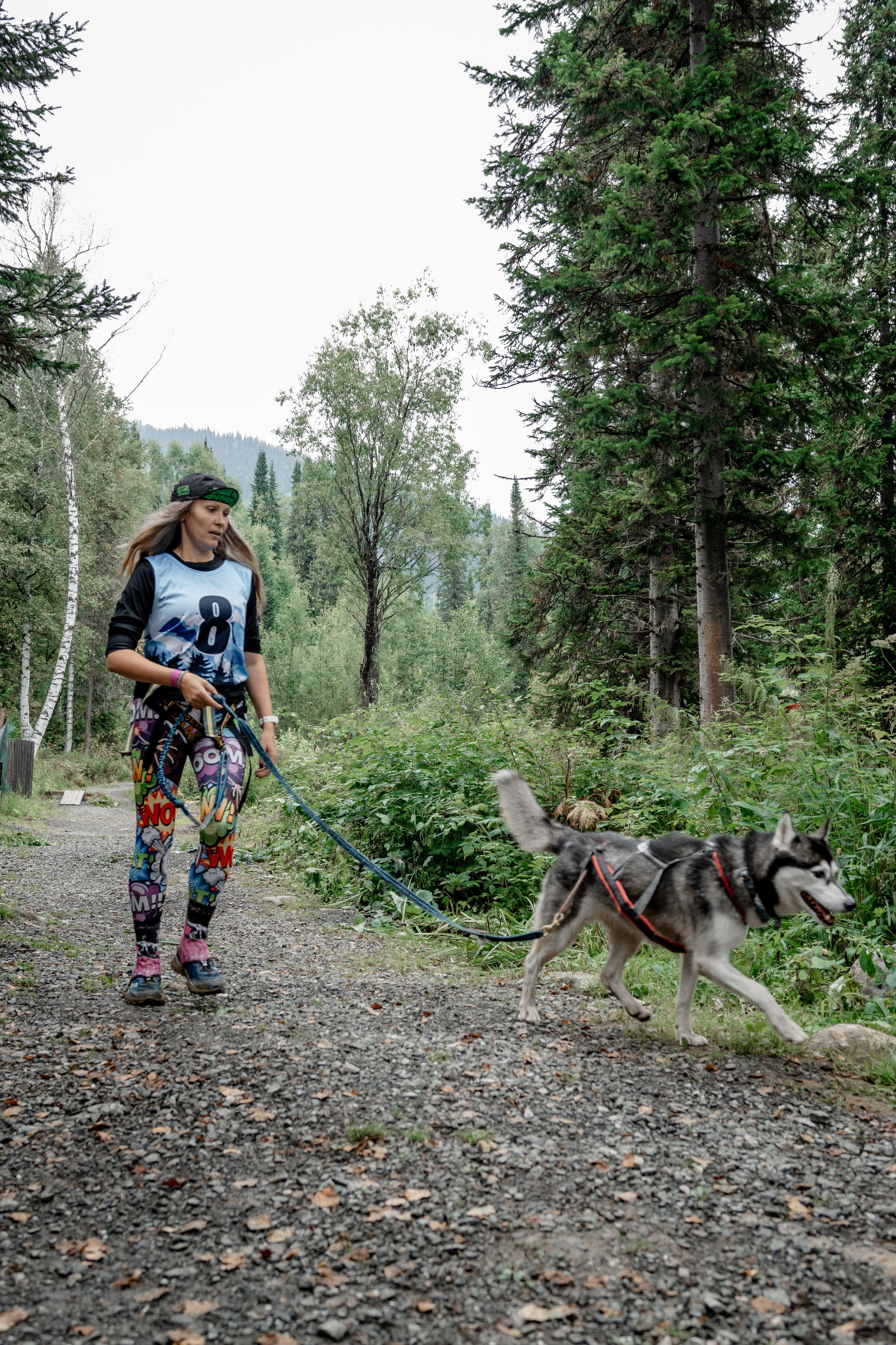 Дог-треккинг