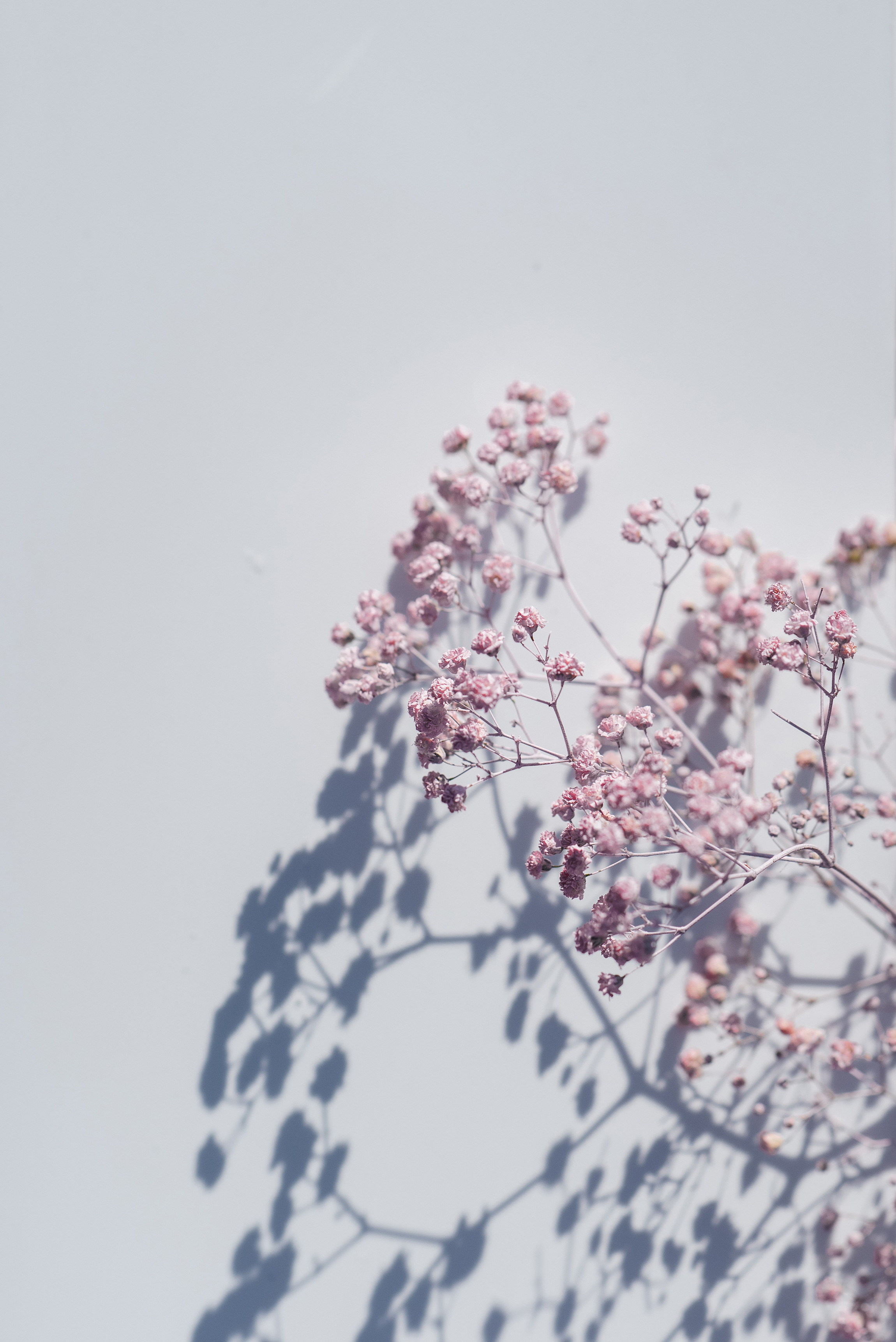 The wedding of Pavel and Natalya. Wedding photographer in Moscow and around the world Andrey Medvednikov