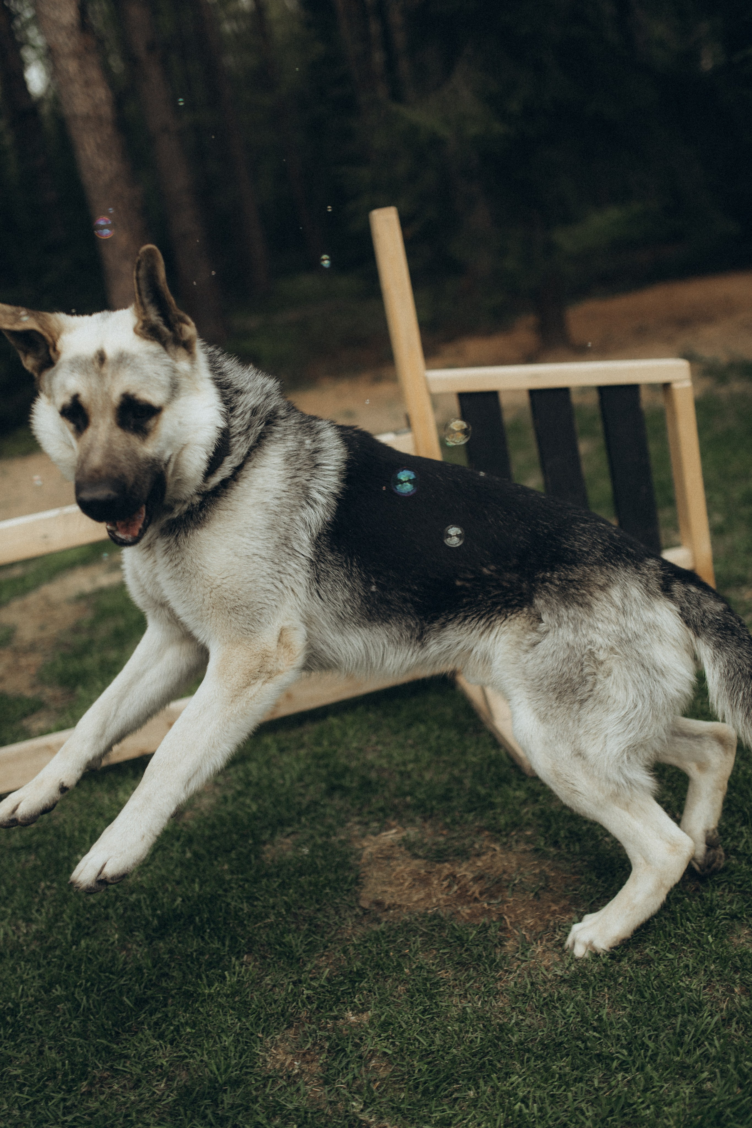 Семейная съемка. Беременность. Фотограф НОГИНСК, Москва, Анастасия Белая