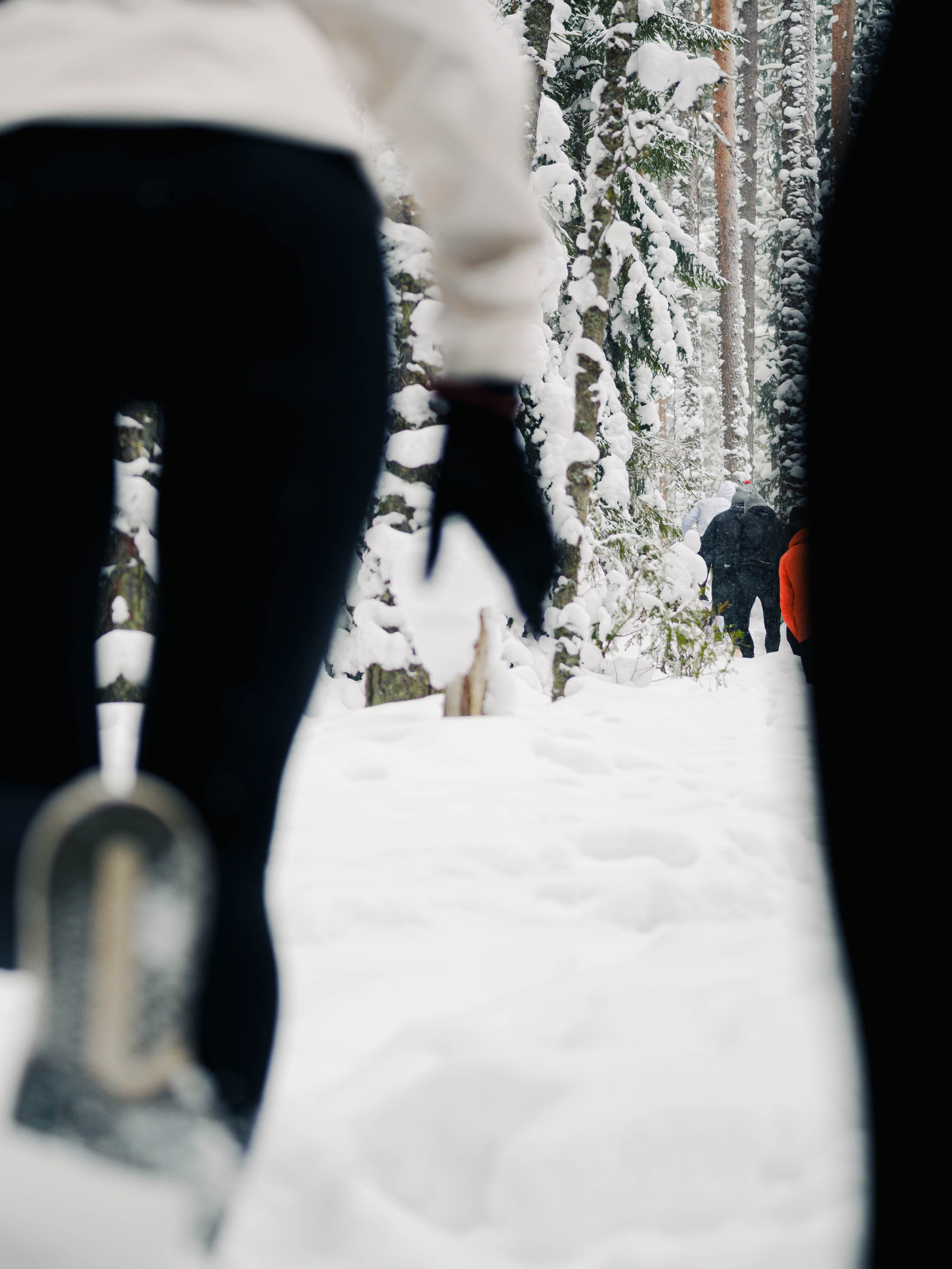Skuratov Trail Run. Портретный и репортажный фотограф в Санкт-Петербурге Смоляков Максим