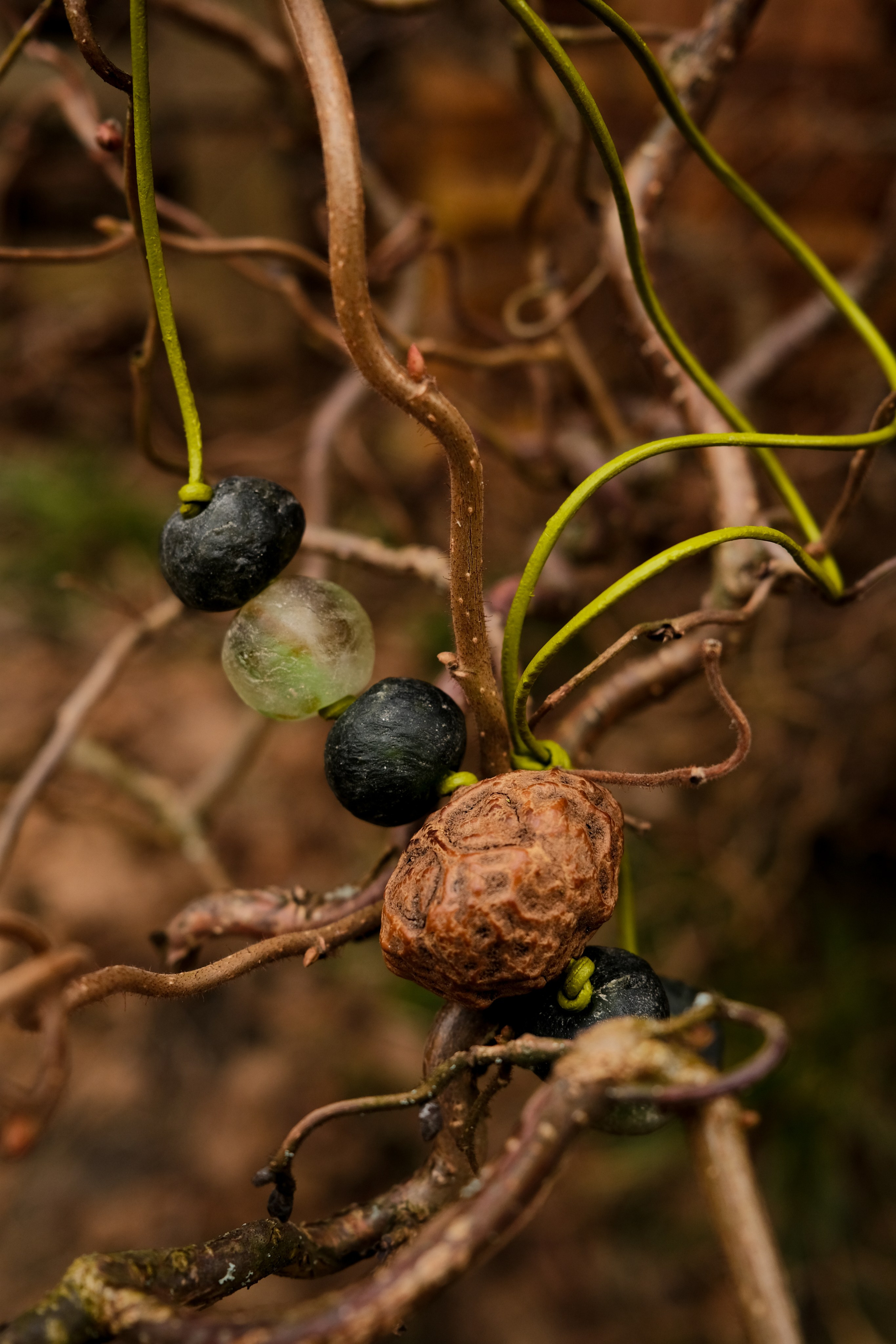 Предметное фото. Фотограф в Москве Дарья Гоглева