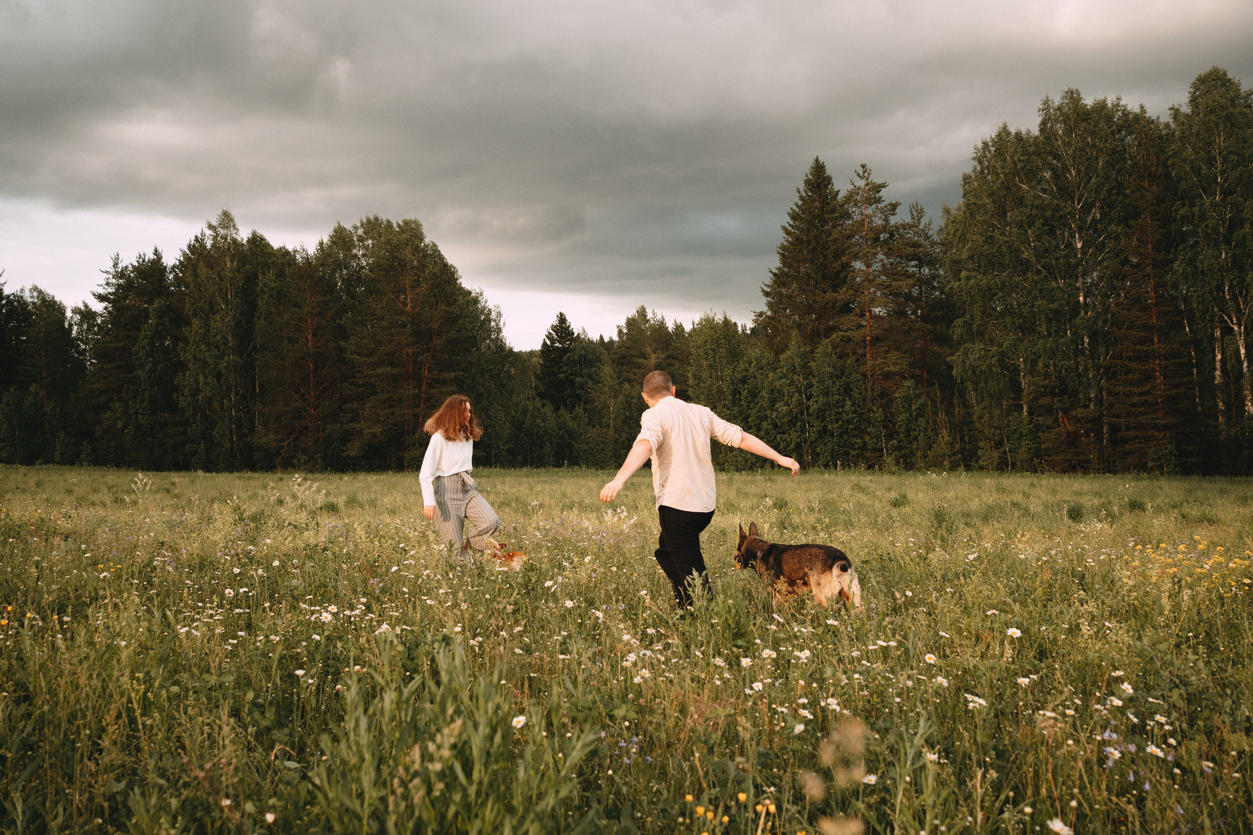 Алсу, Саша, Нага и Тако. Фотограф-анималист Анастасия Большакова