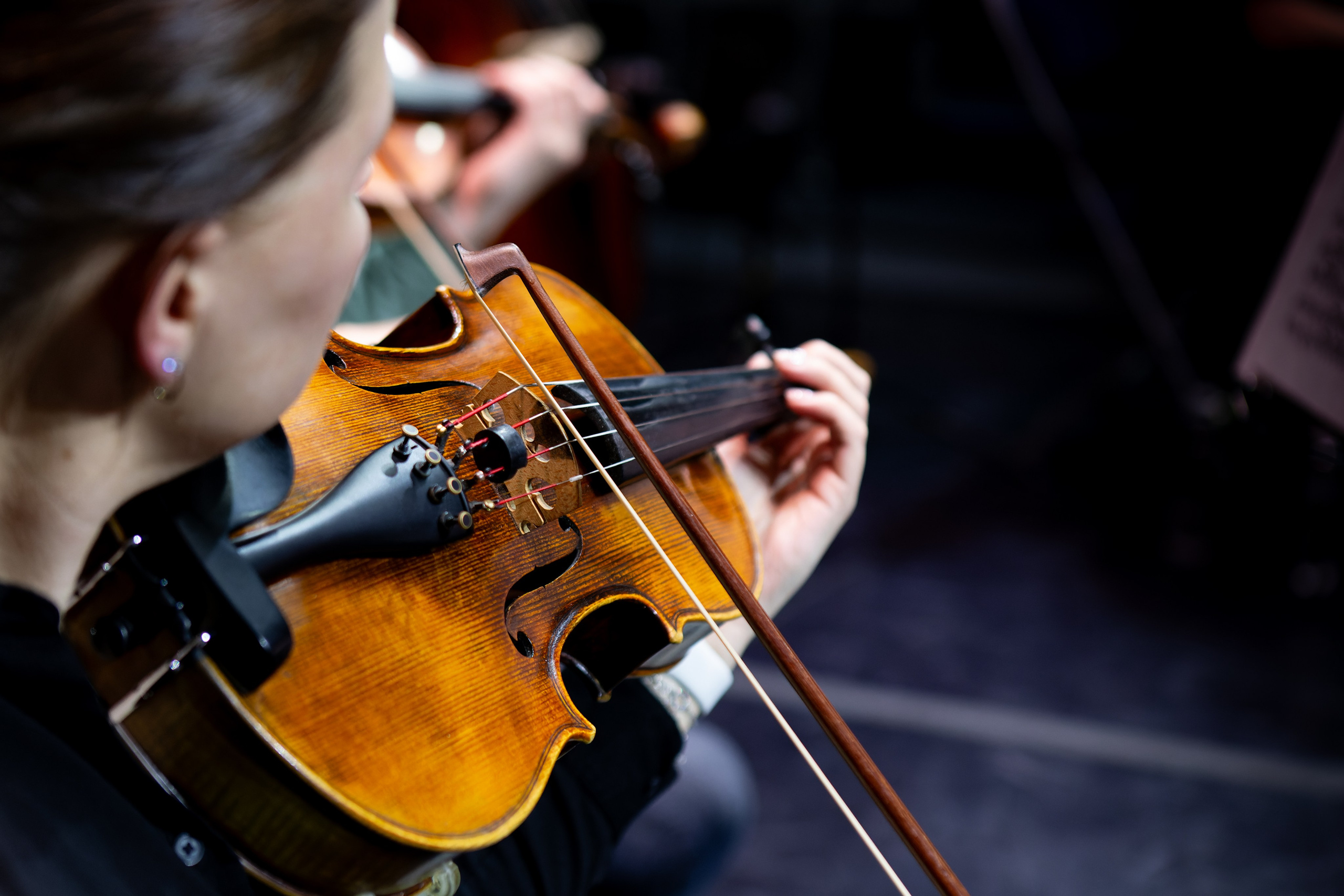 Концерт Южно-Сахалинского симфонического оркестра. Кутузов Евгений Фотограф в Южно-Сахалинске