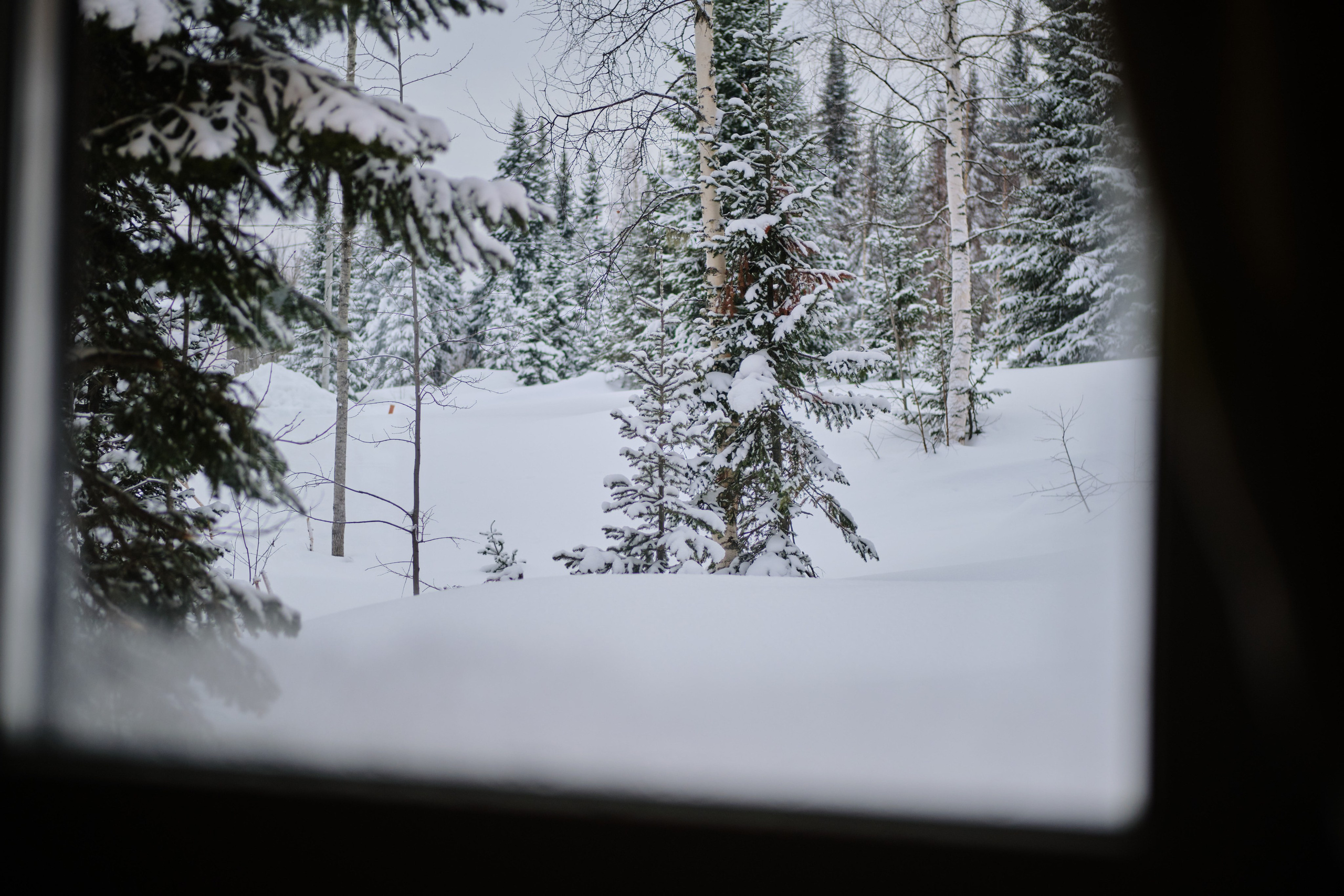 Цветочная ½. Свадебный и семейный фотограф в Новокузнецке Иван Иванов
