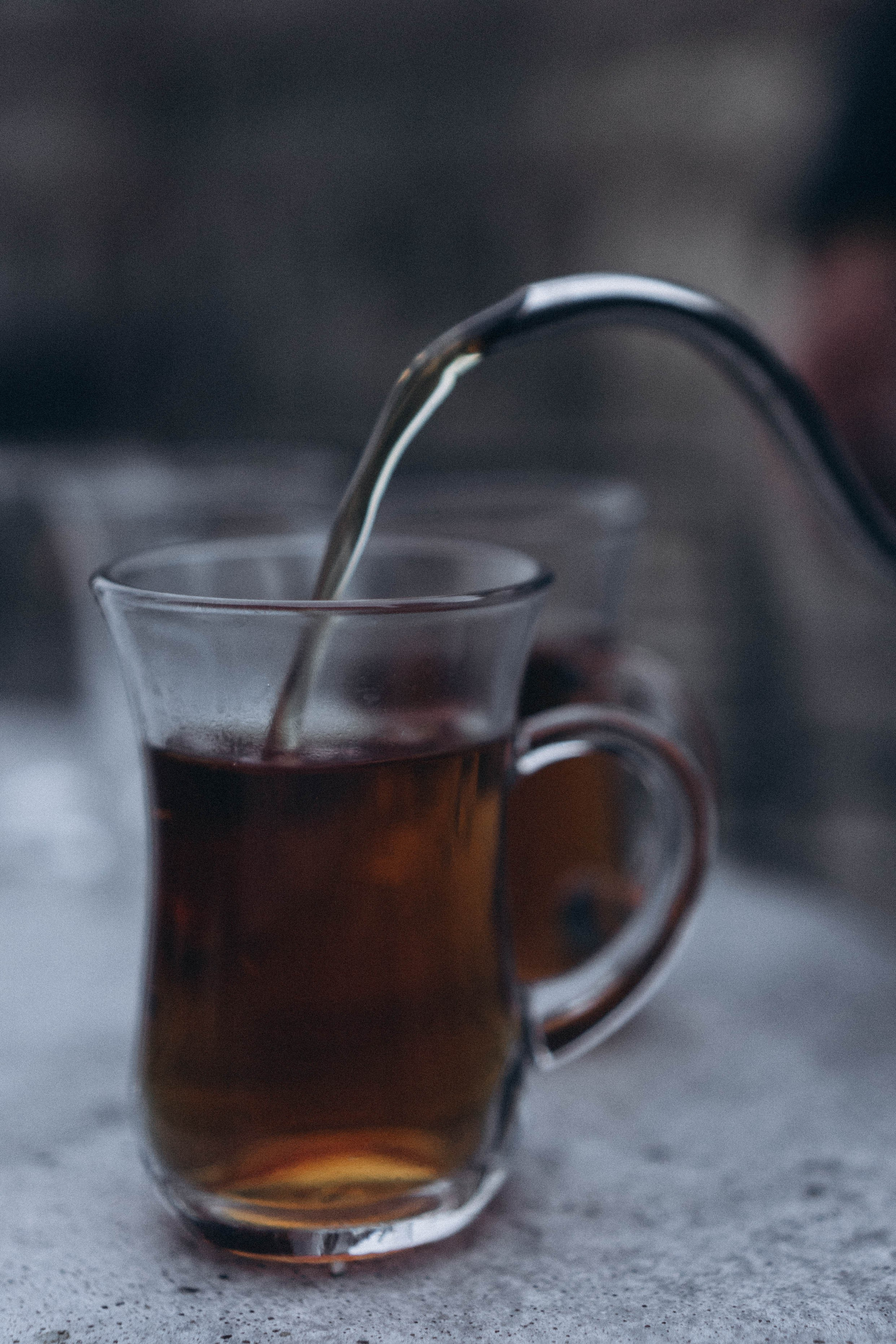 Кавказ. Профессиональный фотограф, Санкт-Петербург — Виктория Богомолова