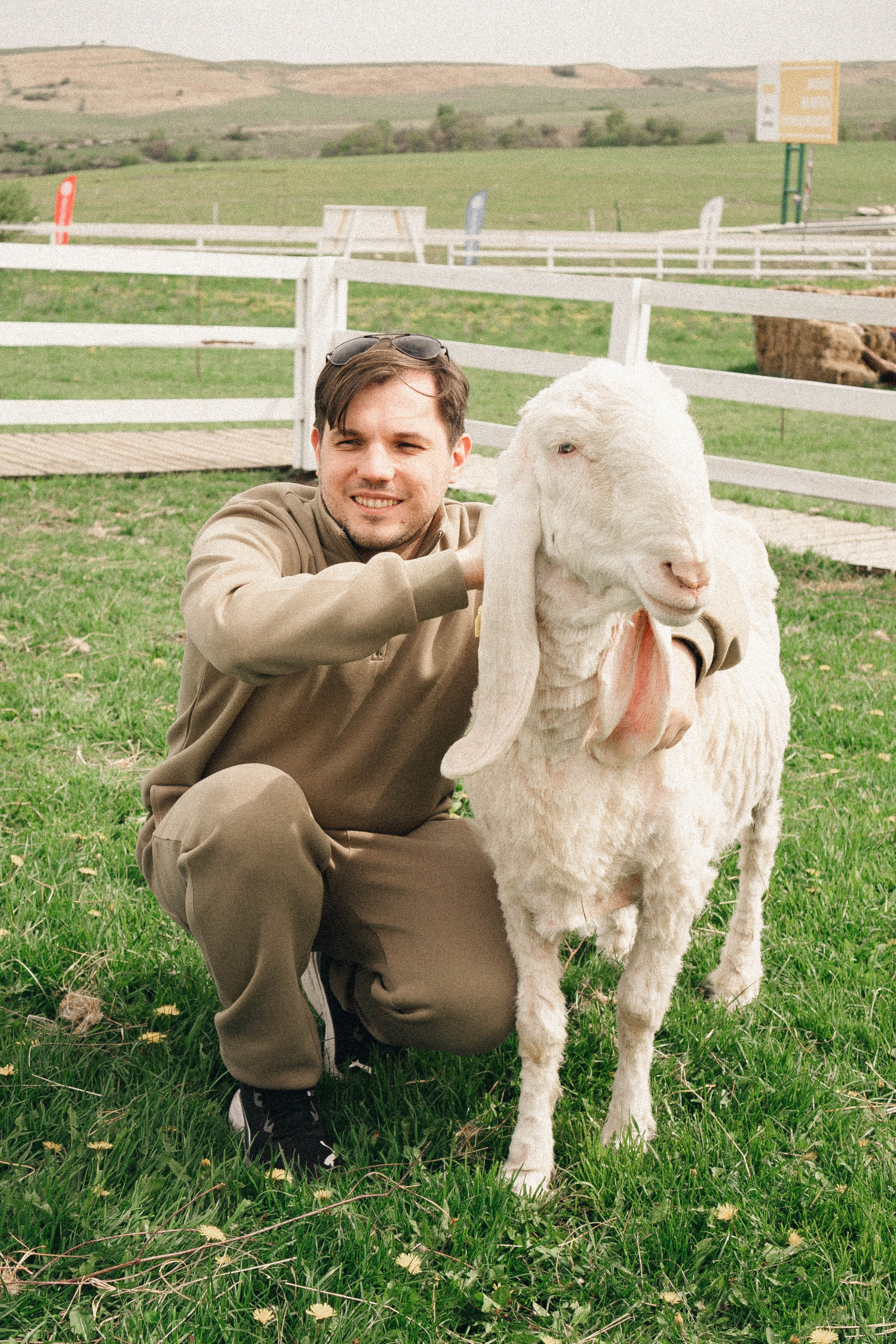 Ферма Альпак. Профессиональный фотограф, Санкт-Петербург — Виктория Богомолова