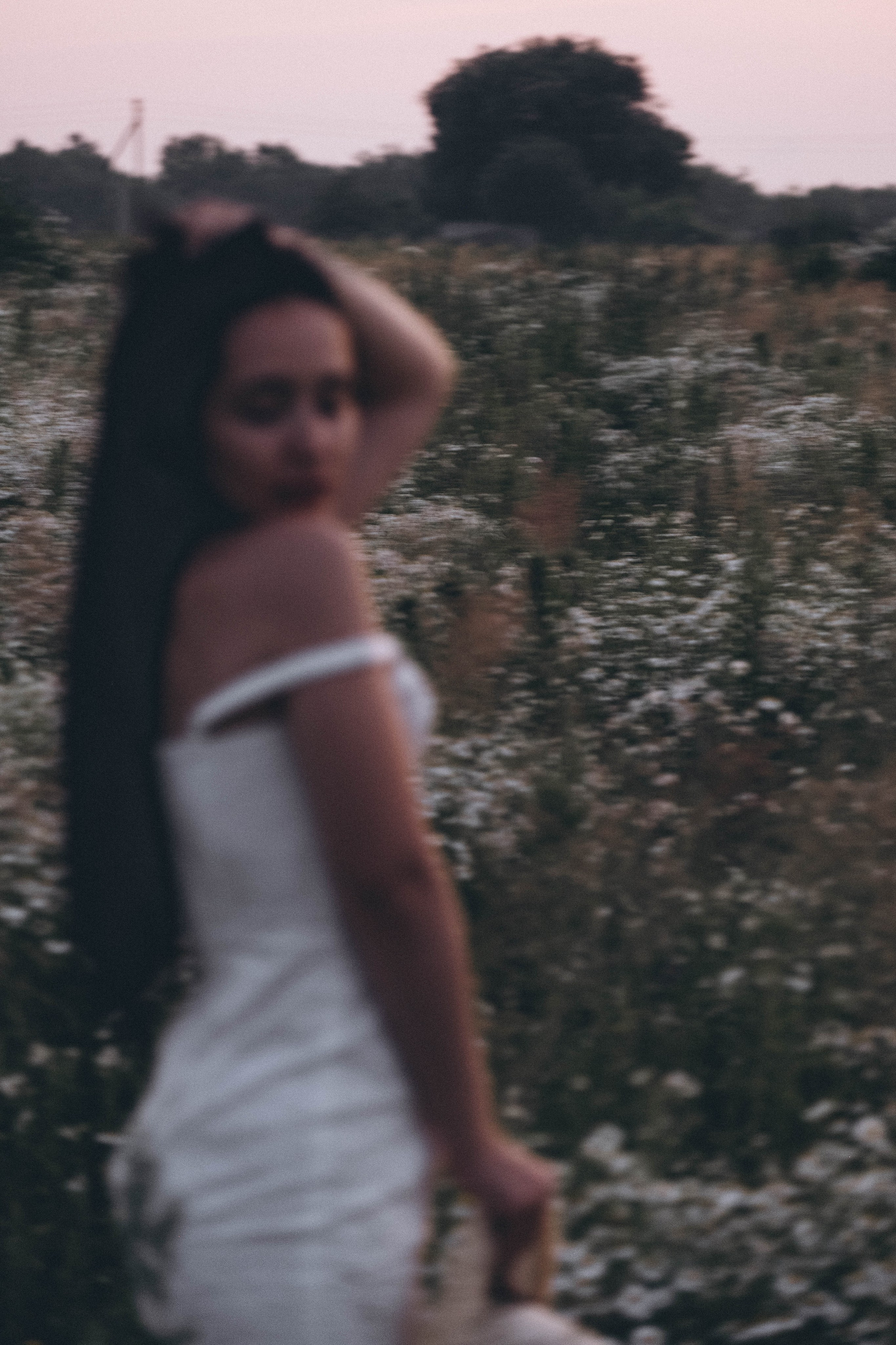 Ромашковое поле. Профессиональный фотограф, Санкт-Петербург — Виктория Богомолова