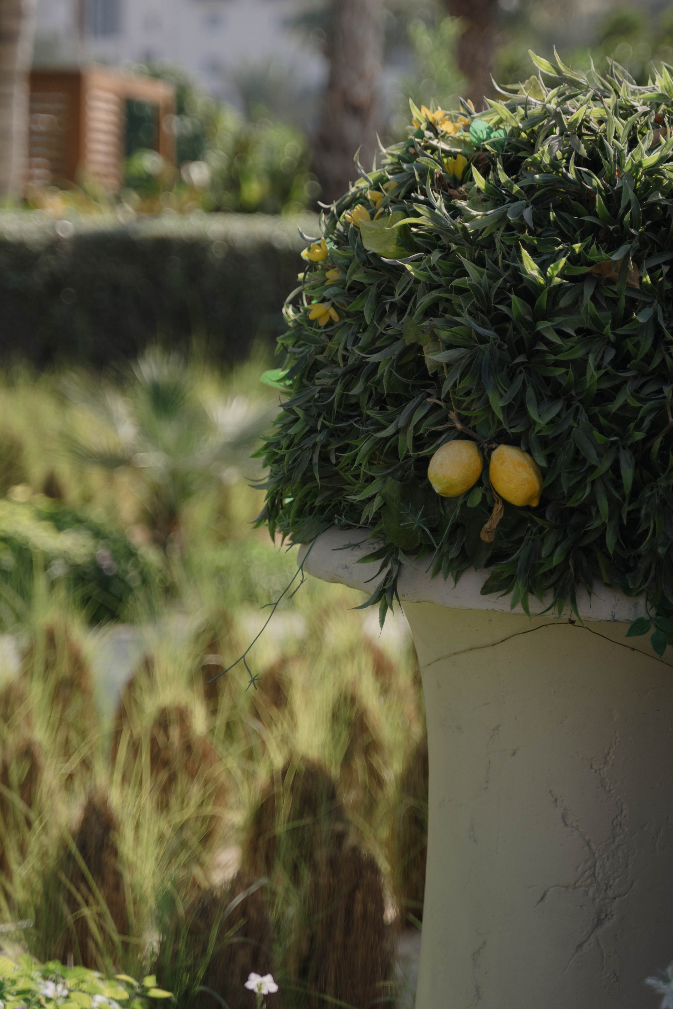 photographer UAE, photographer Dubai, photographer Abu Dhabi, wedding photographer UAE, beach photoshoot Dubai, Italian brunch wedding Dubai