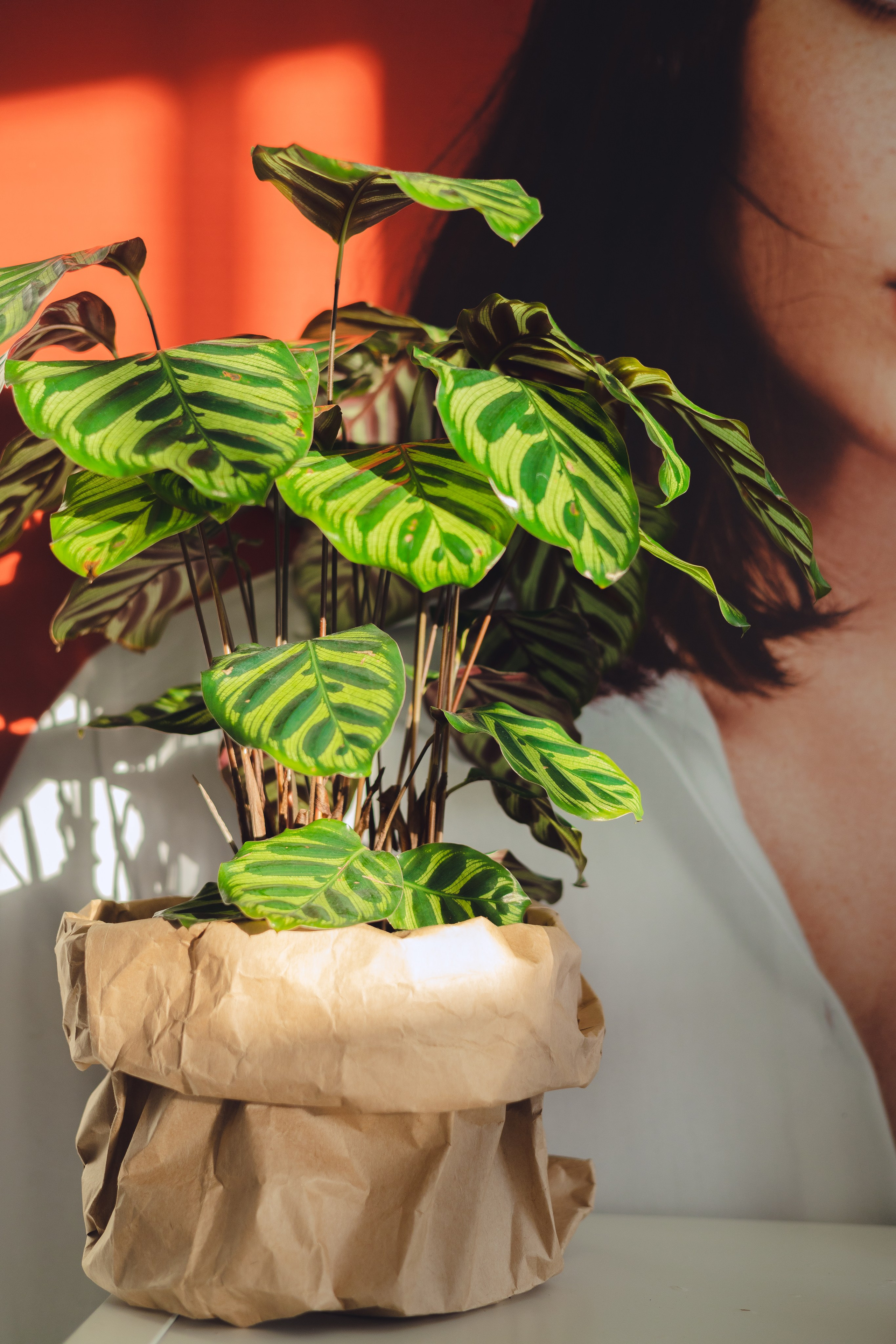 Предметная съемка для бизнеса. Фотограф в Санкт-Петербурге Осокина Елизавета