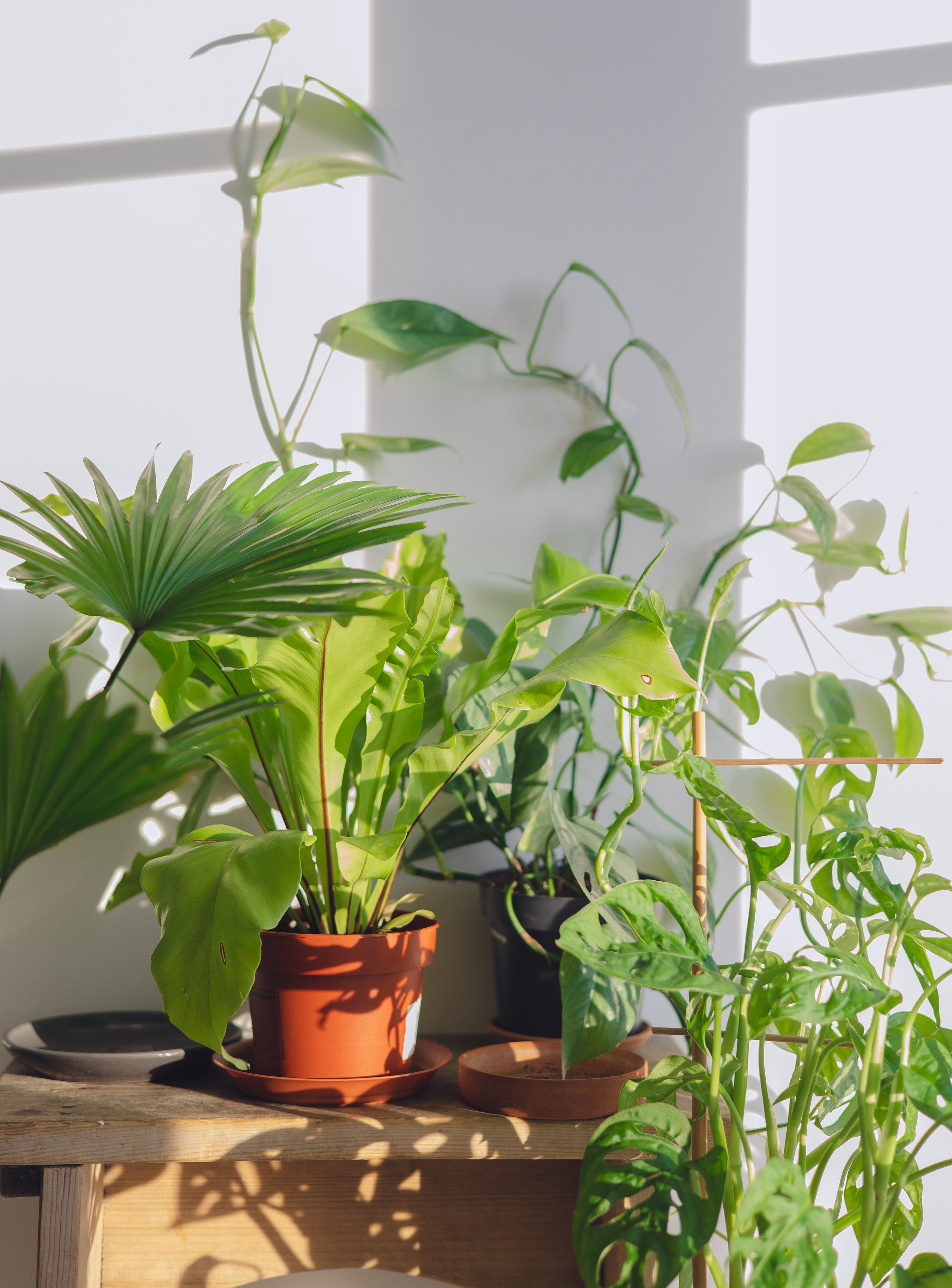 Предметная съемка для бизнеса. Фотограф в Санкт-Петербурге Осокина Елизавета