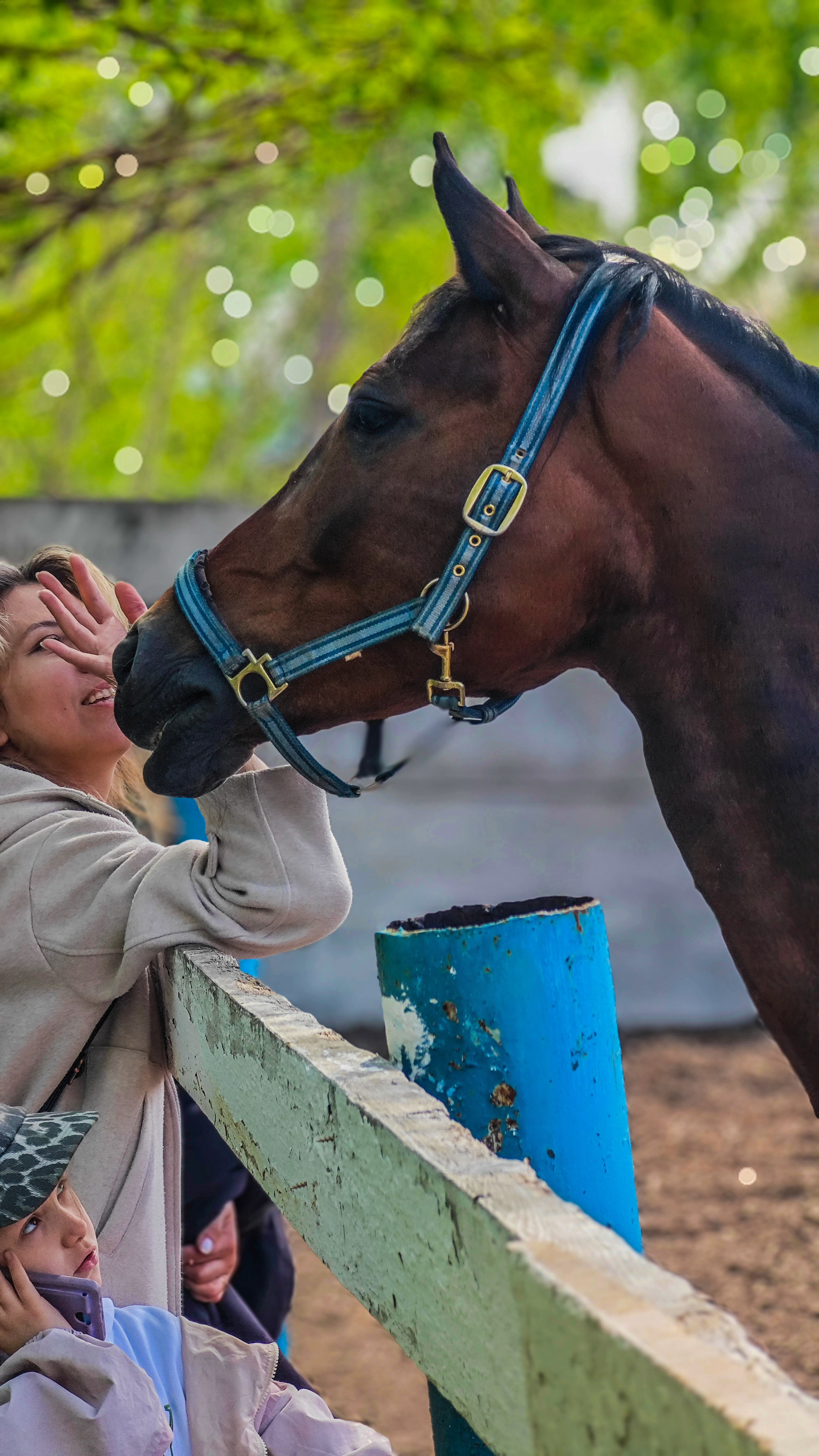 Красноярский ипподром. Открытие сезона 2025. Игорь Урывский. Фотограф Красноярск