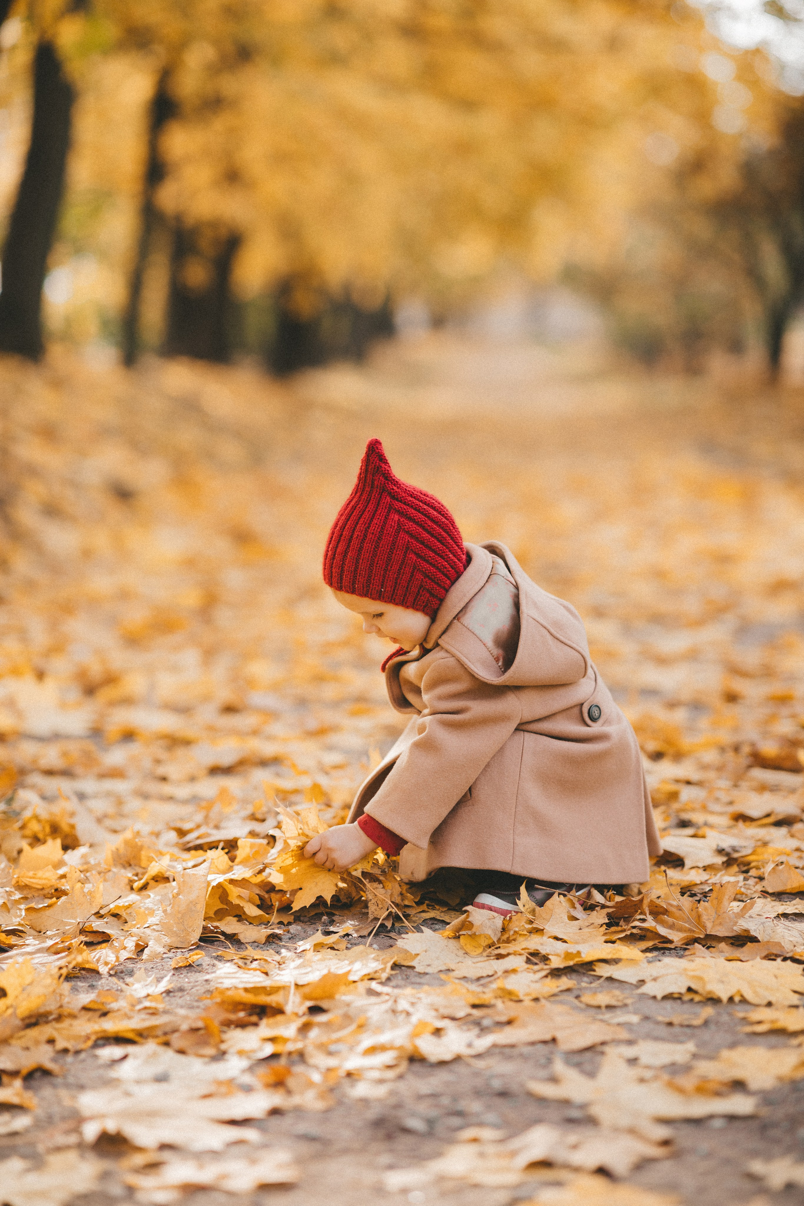 Красный колпачок. Семейный фотограф Надежда Луковкина Москва
