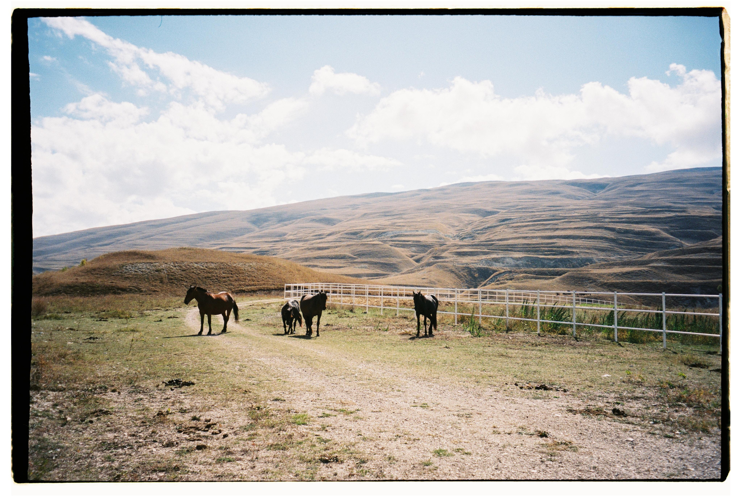 Nature. Фотограф Ирина Гринько Тольятти Самара Москва