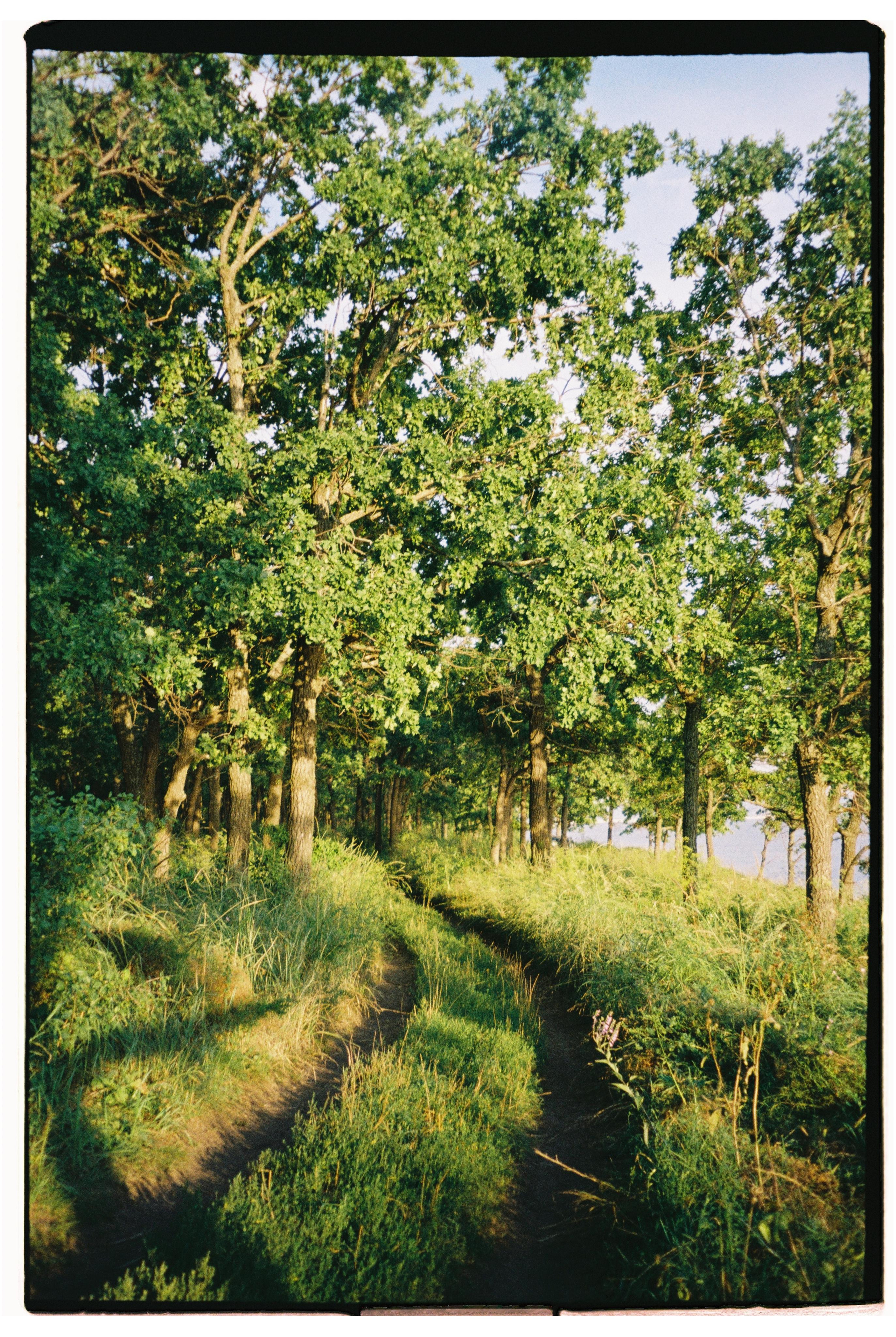 Nature. Фотограф Ирина Гринько Тольятти Самара Москва
