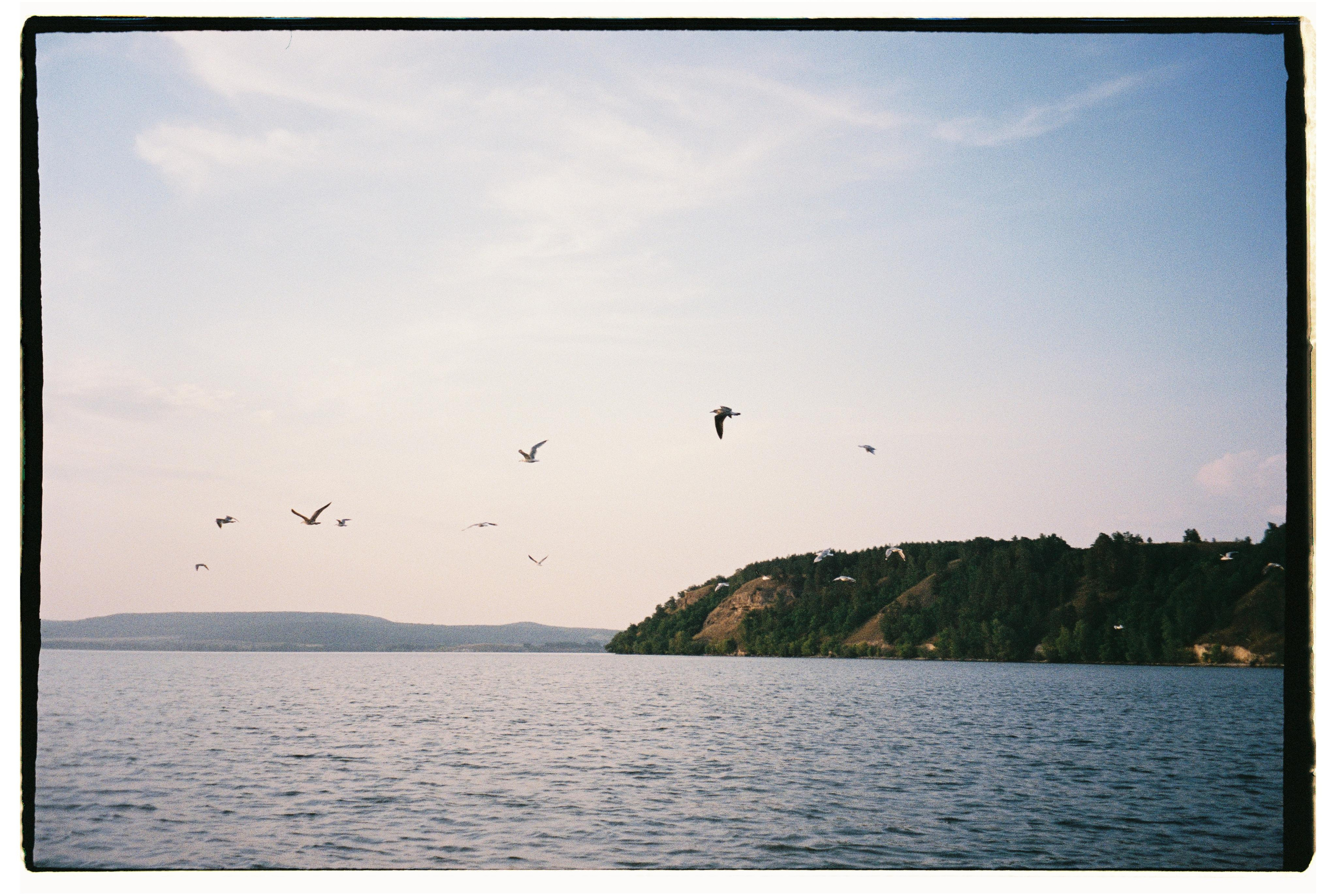 Nature. Фотограф Ирина Гринько Тольятти Самара Москва